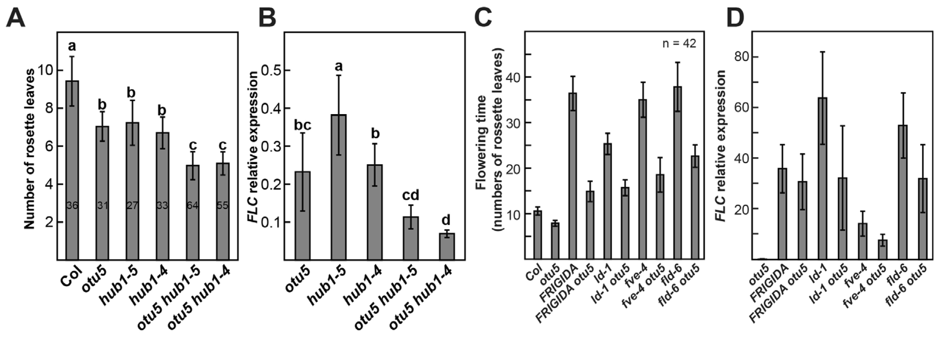 Ijms 24 06176 g011 Ijms 24 06176 g011