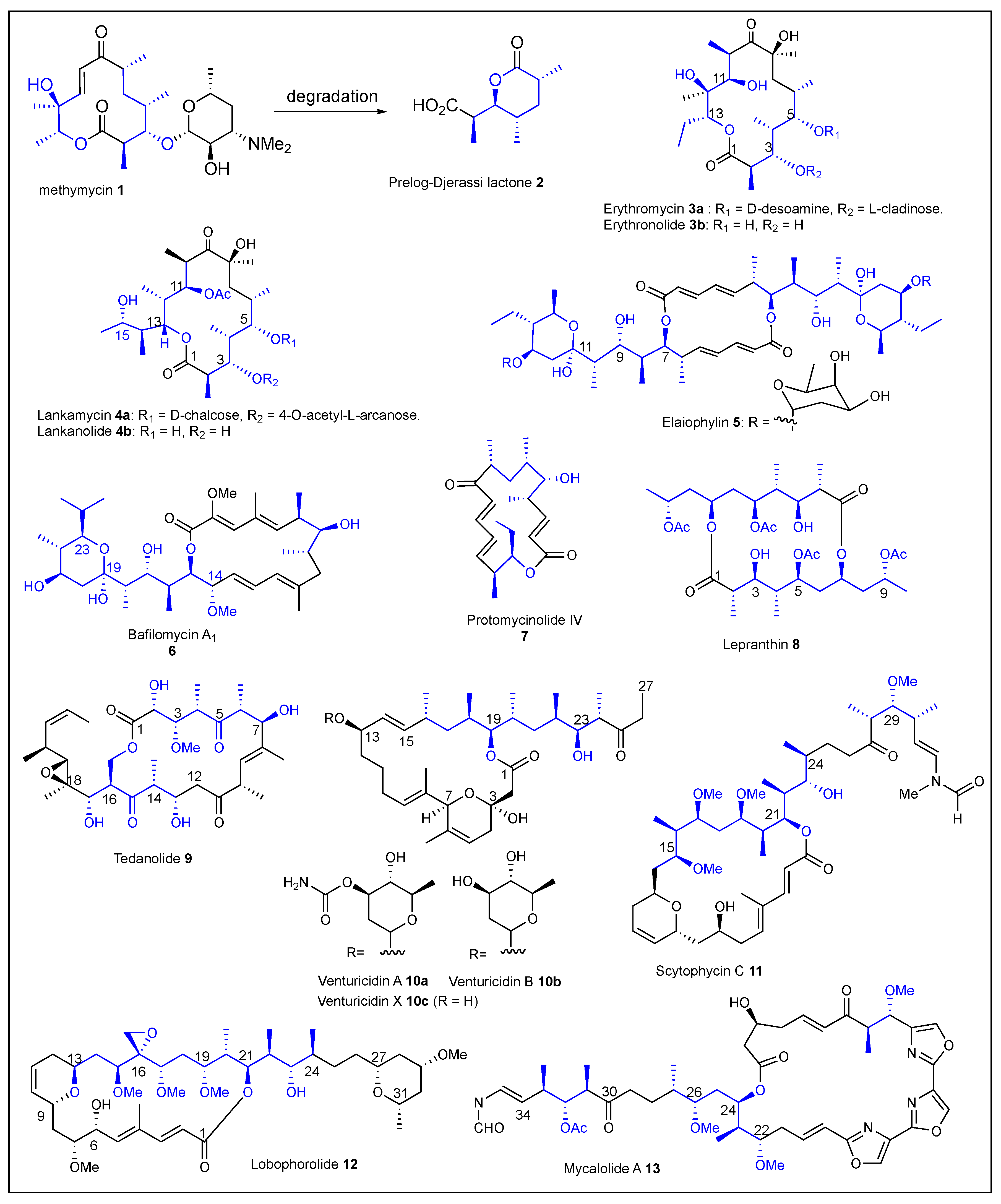 Ijms 24 06195 g004