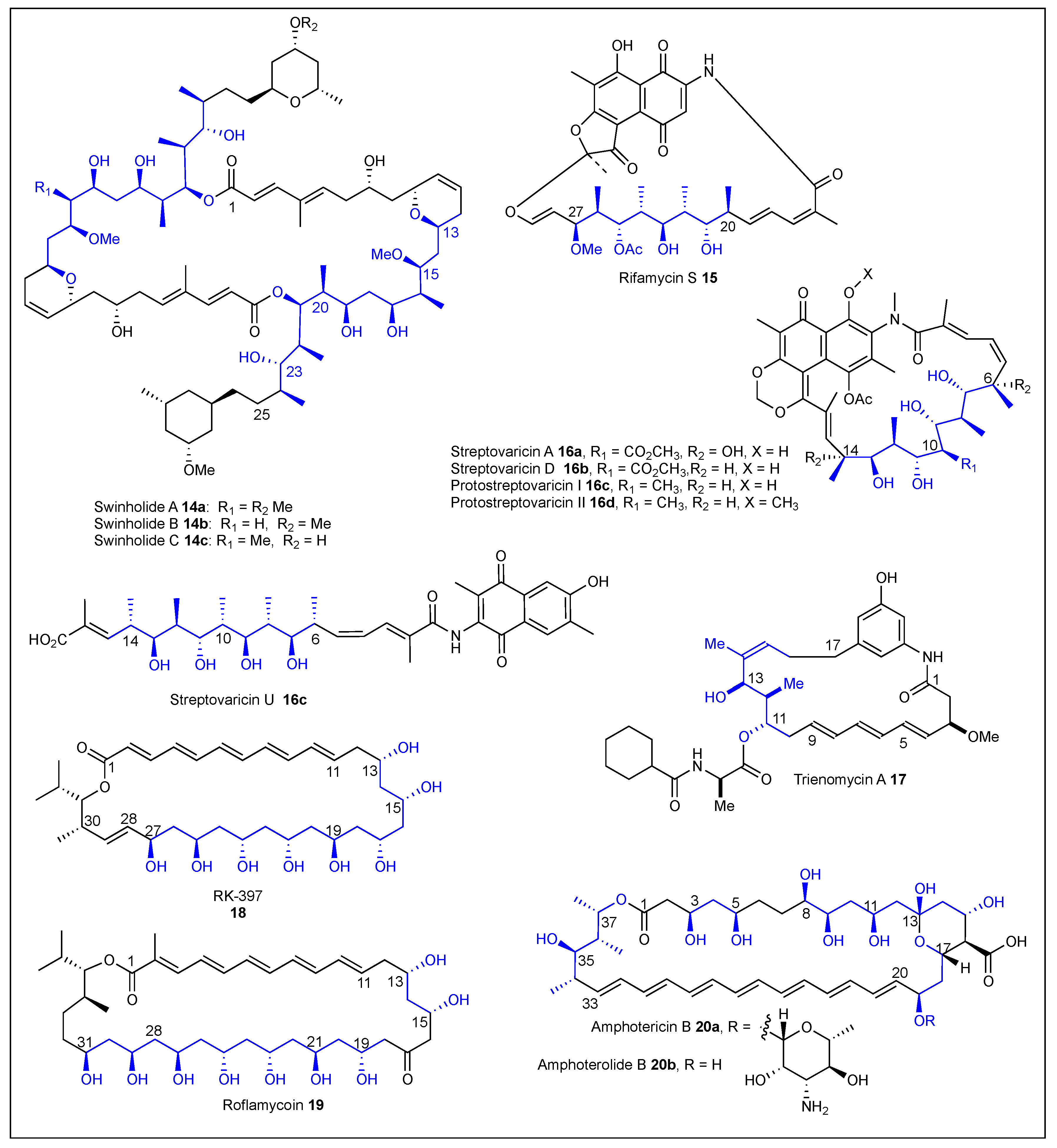 Ijms 24 06195 g005