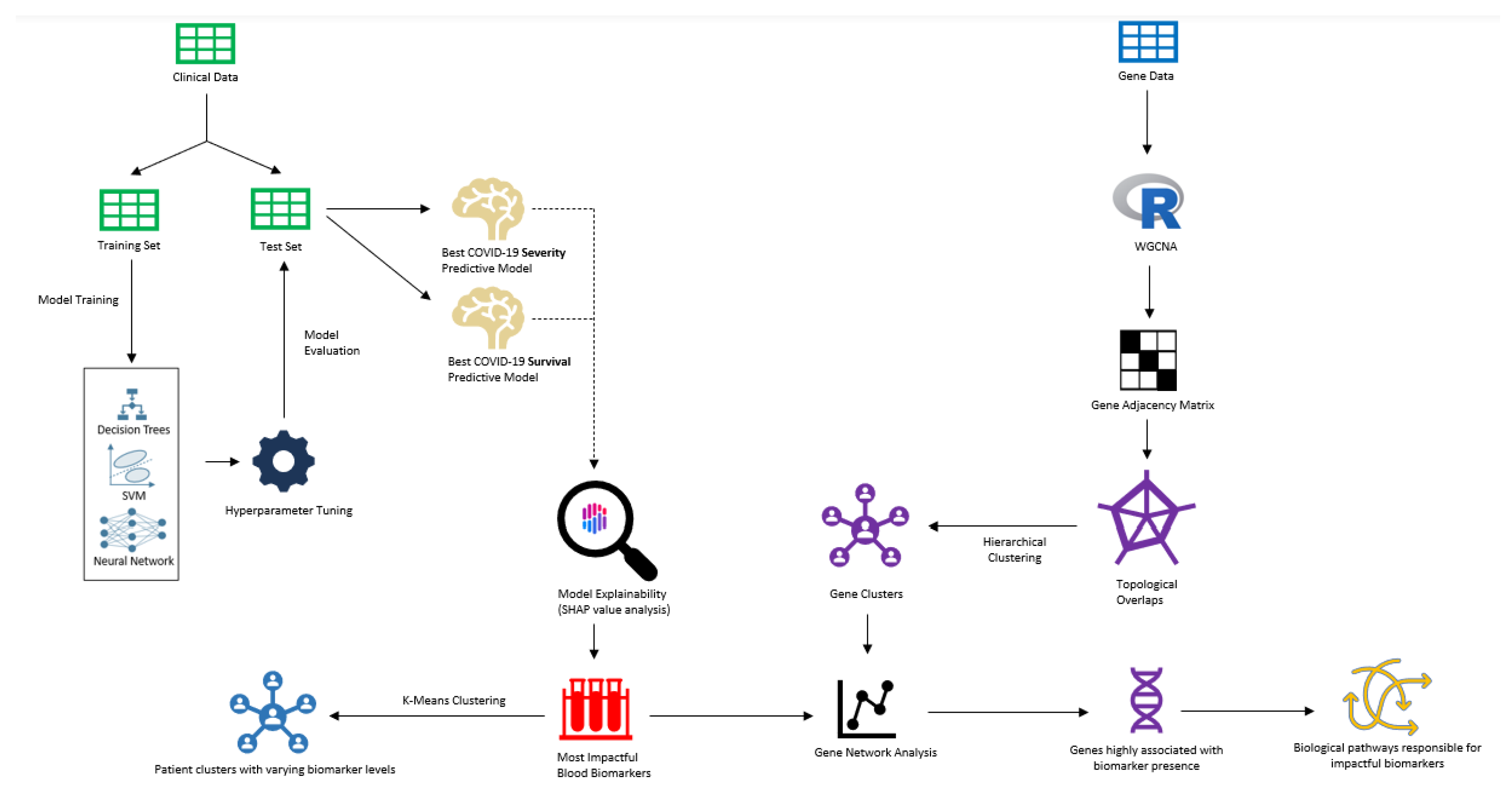 Ijms 24 06250 g001 Ijms 24 06250 g001