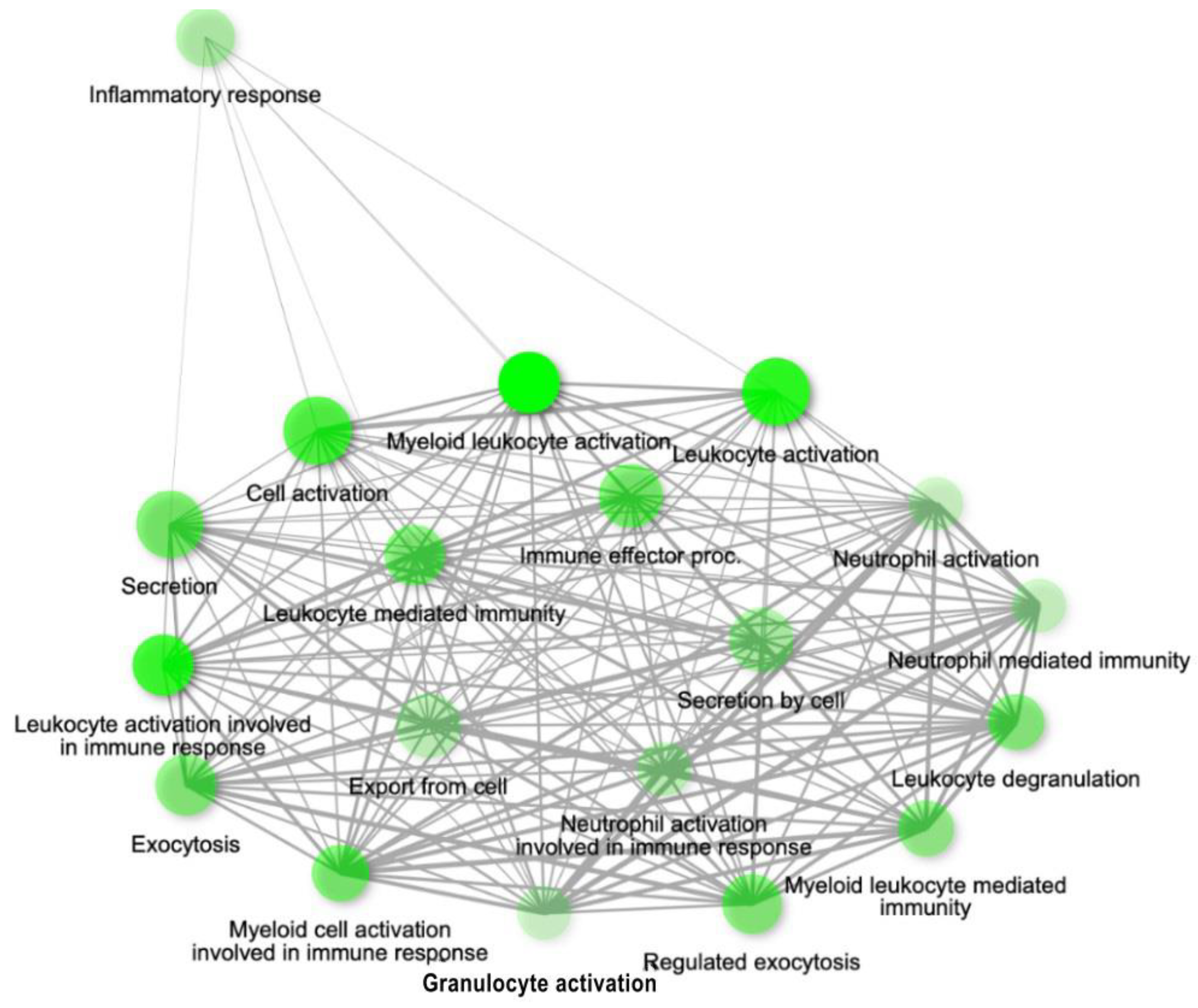 Ijms 24 06250 g012 Ijms 24 06250 g012