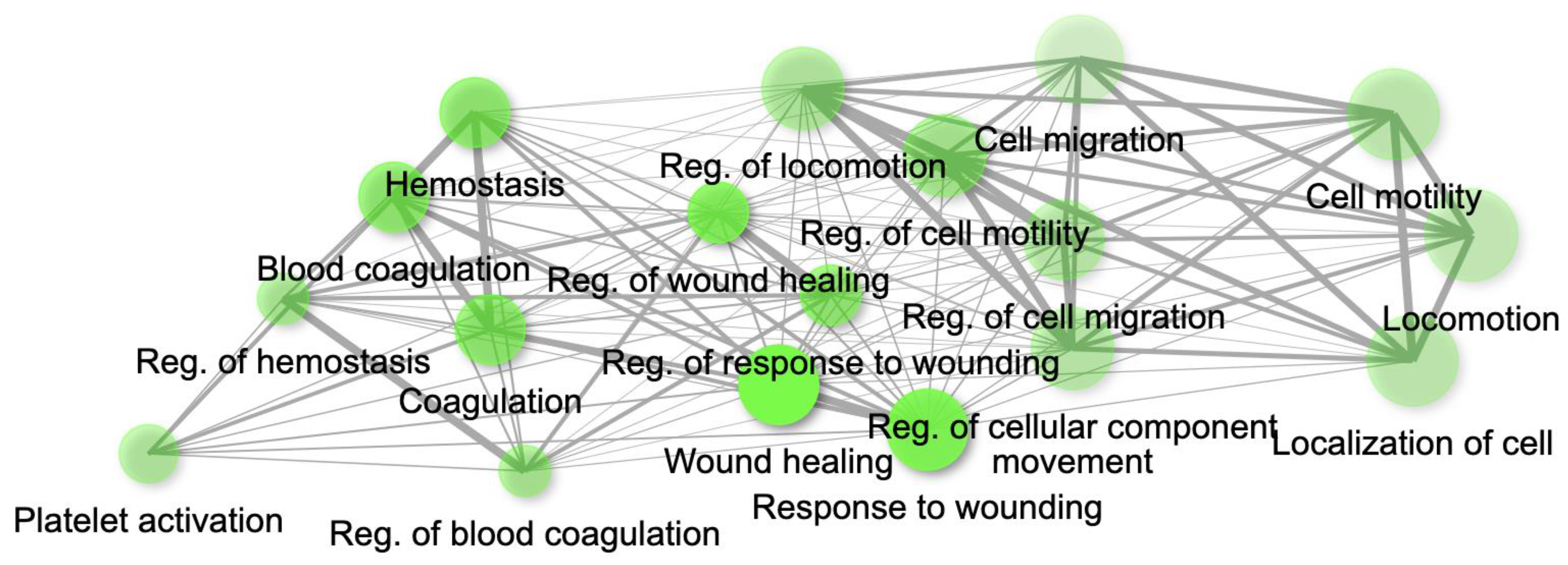 Ijms 24 06250 g014 Ijms 24 06250 g014