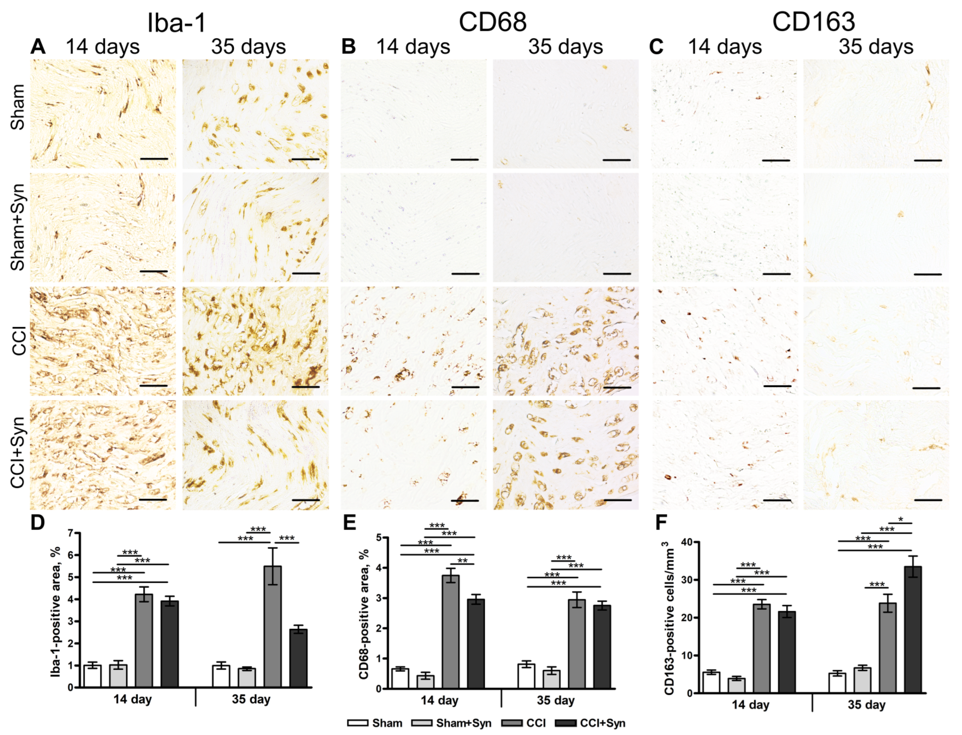 Ijms 24 06273 g003 Ijms 24 06273 g003
