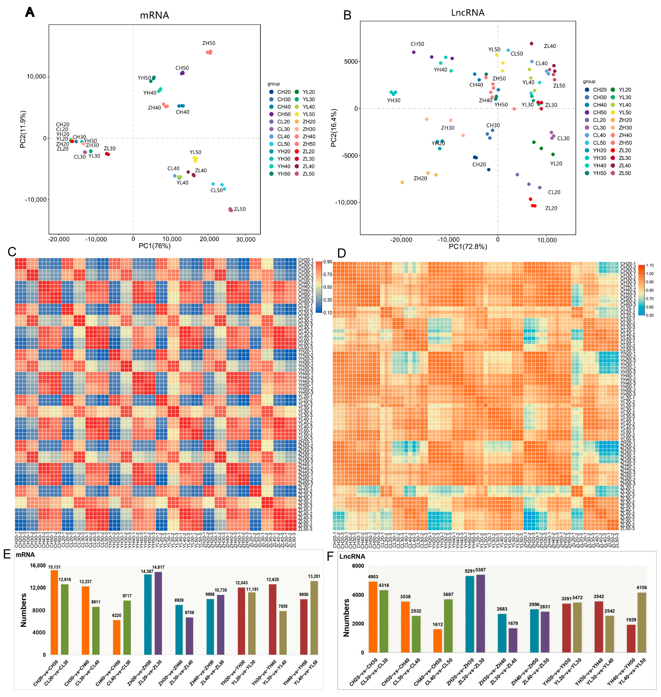 Ijms 24 06277 g003 Ijms 24 06277 g003