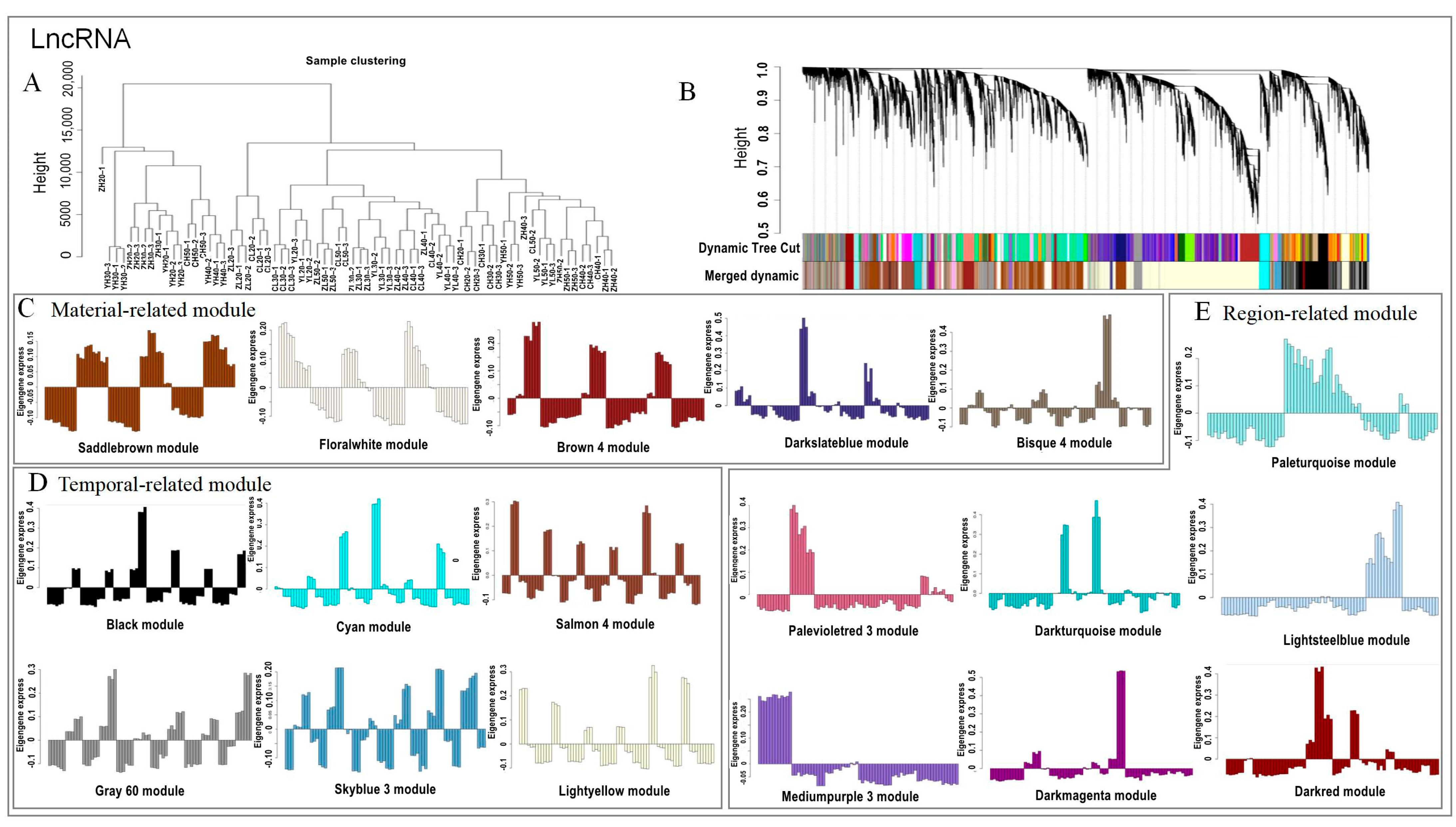 Ijms 24 06277 g004 Ijms 24 06277 g004