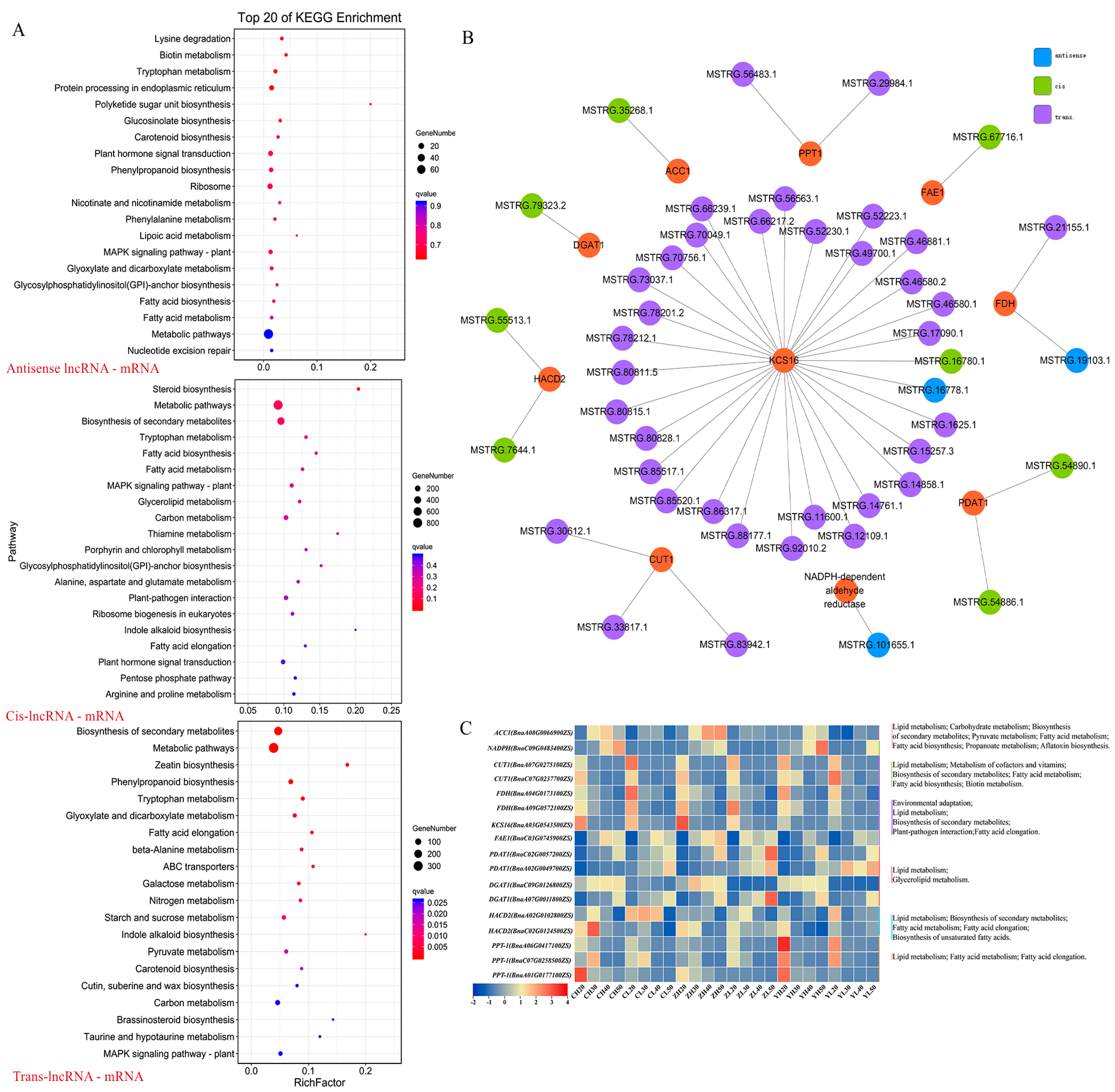 Ijms 24 06277 g007 Ijms 24 06277 g007