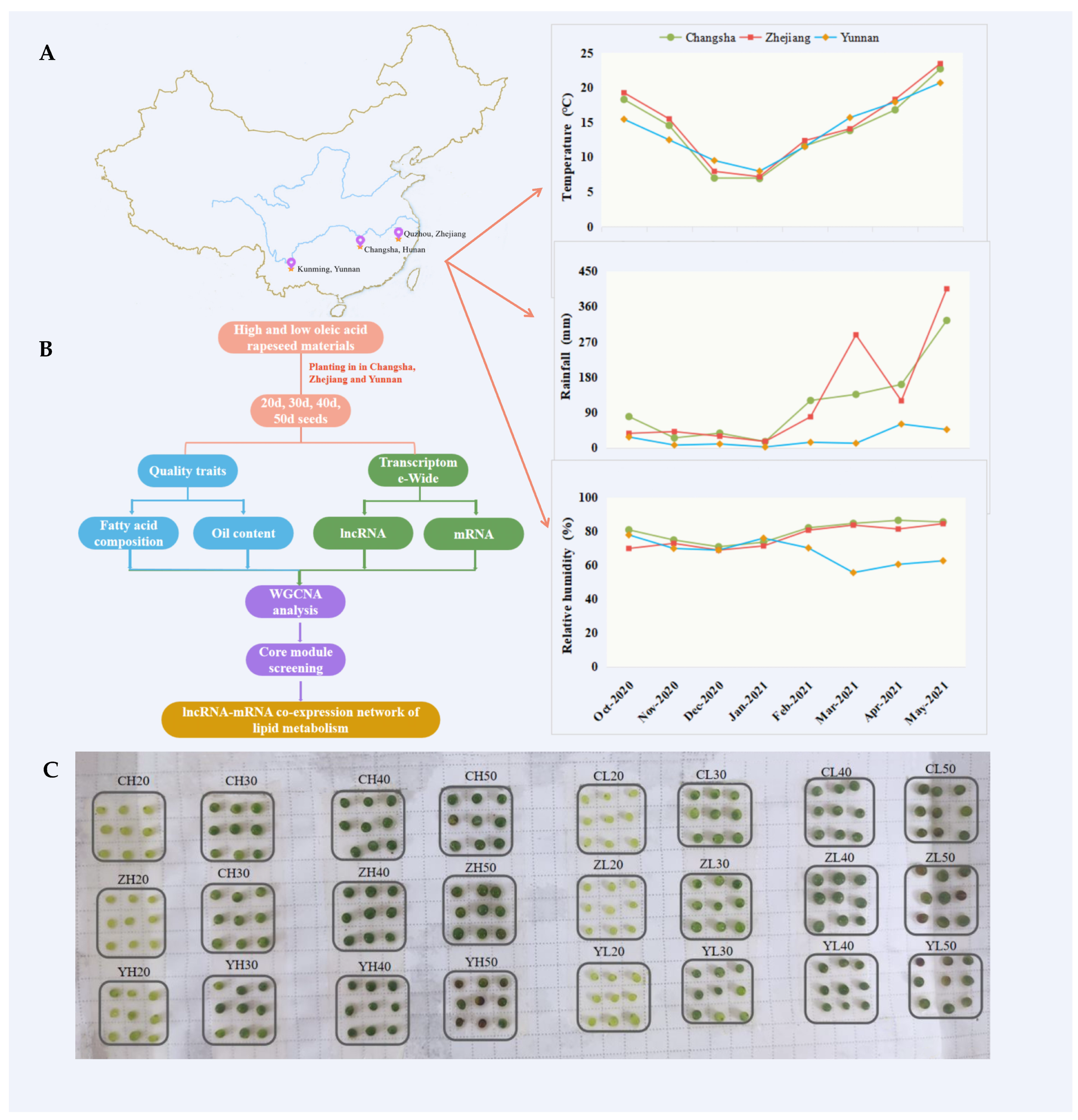 Ijms 24 06277 g008 Ijms 24 06277 g008