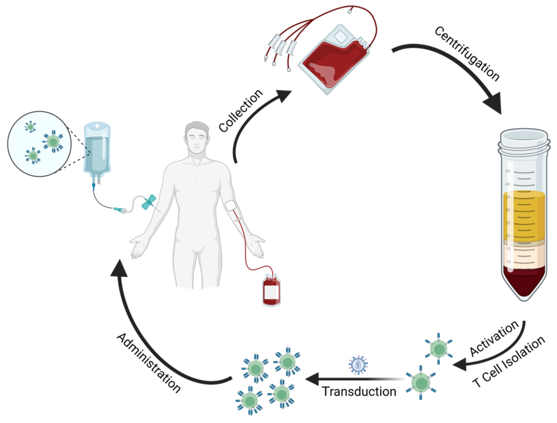 Ijms 24 06300 g003 Ijms 24 06300 g003