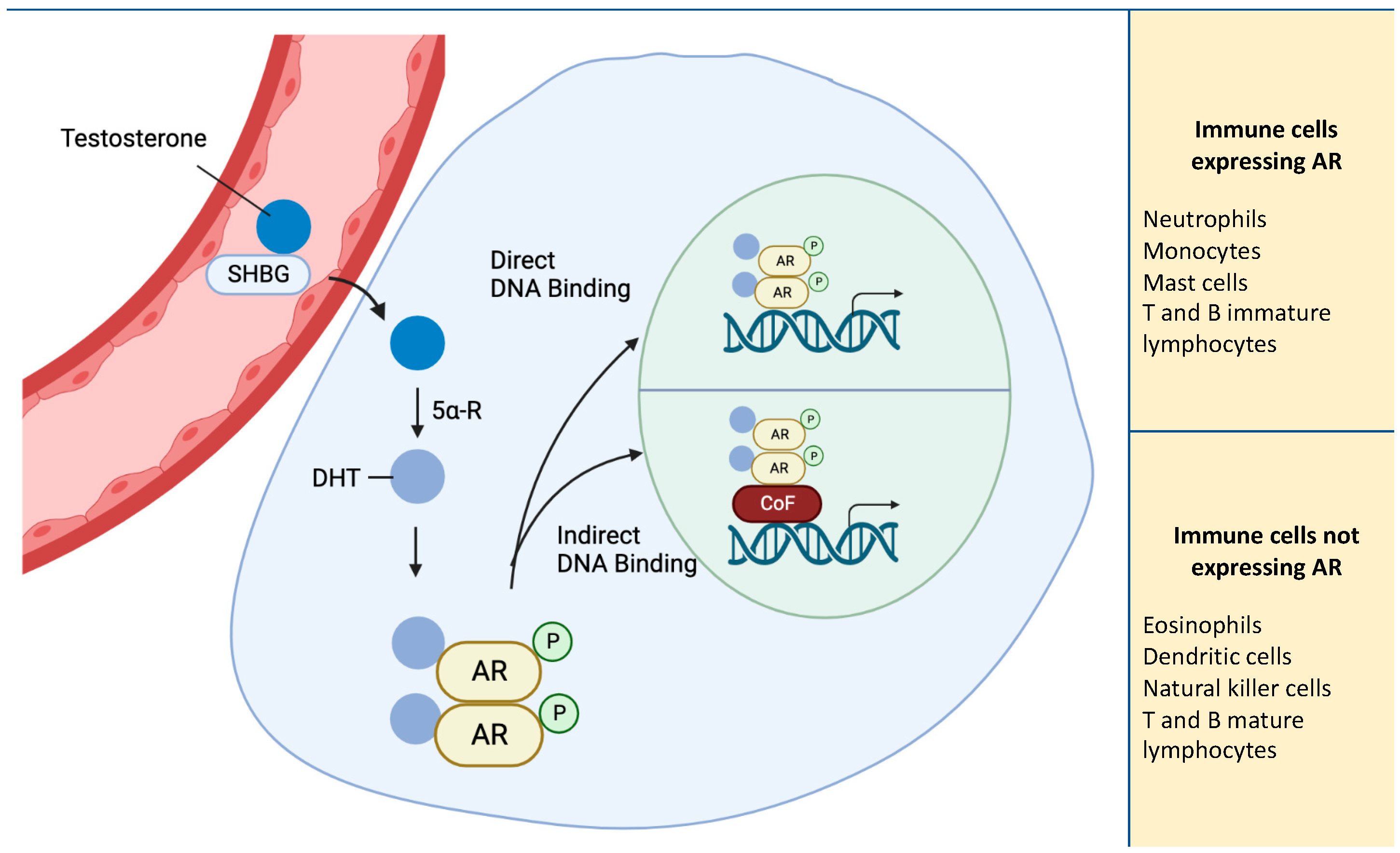Ijms 24 06302 g001 Ijms 24 06302 g001