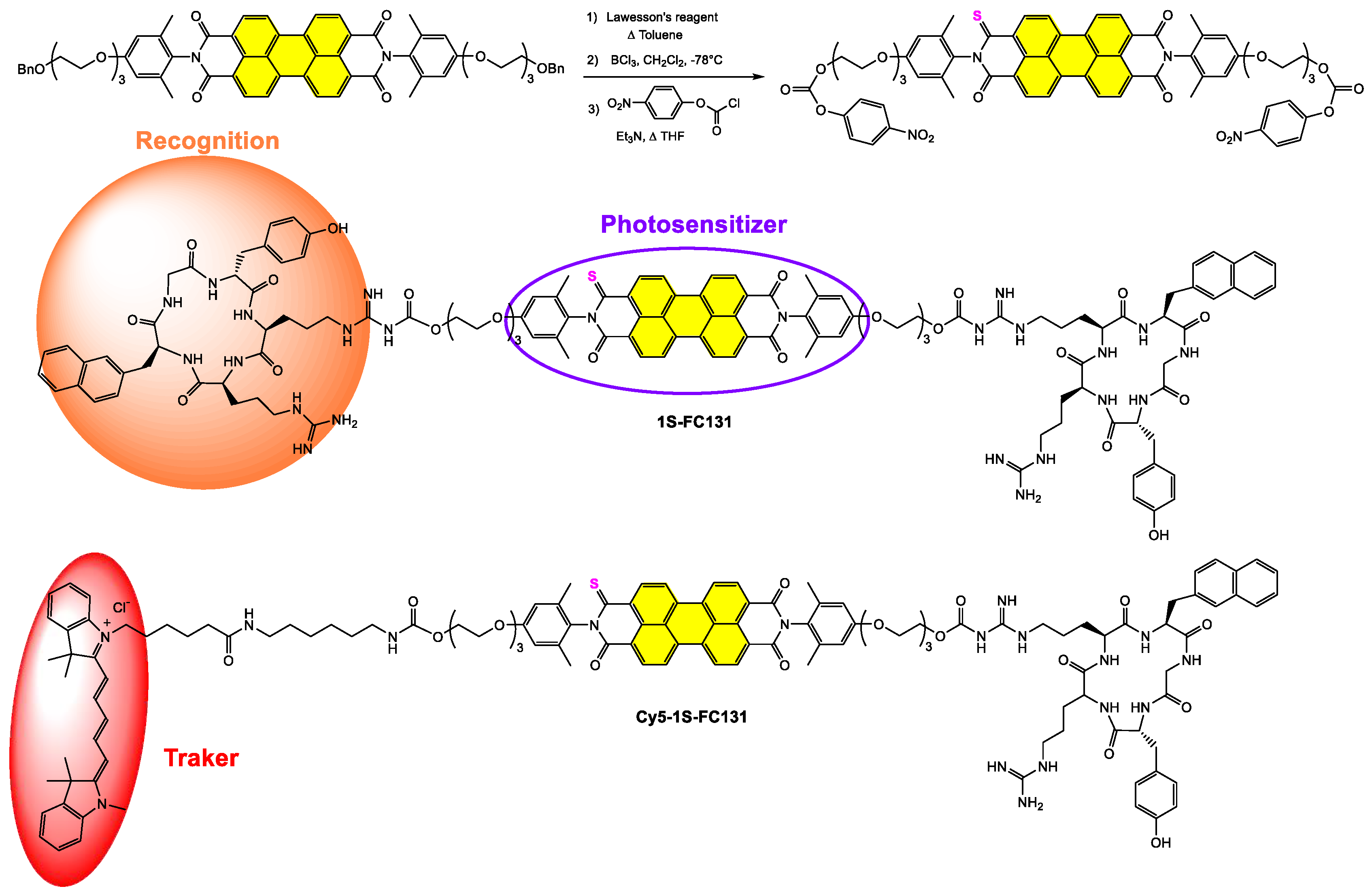 Ijms 24 06308 sch008