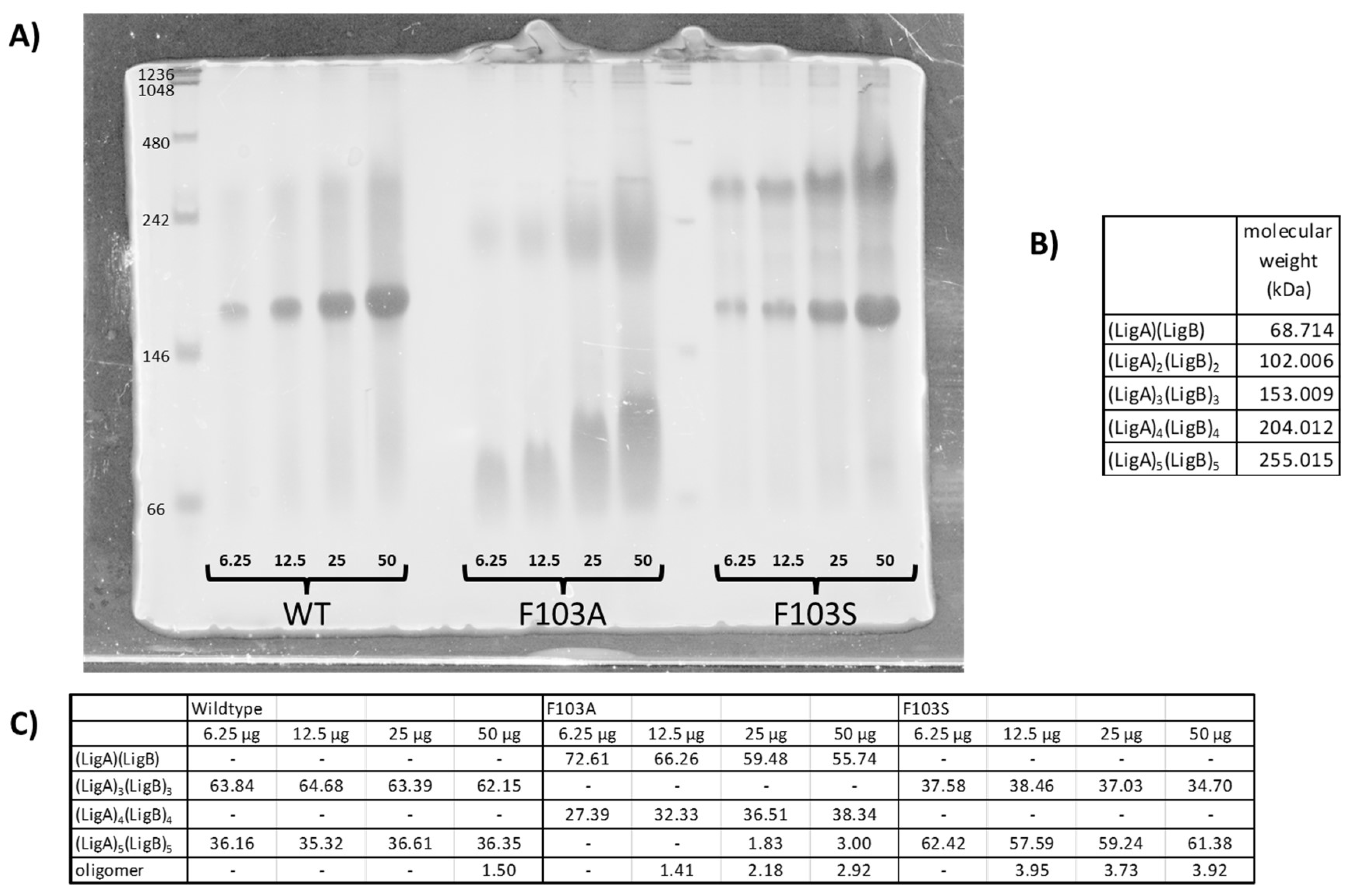 Ijms 24 06319 g003 Ijms 24 06319 g003