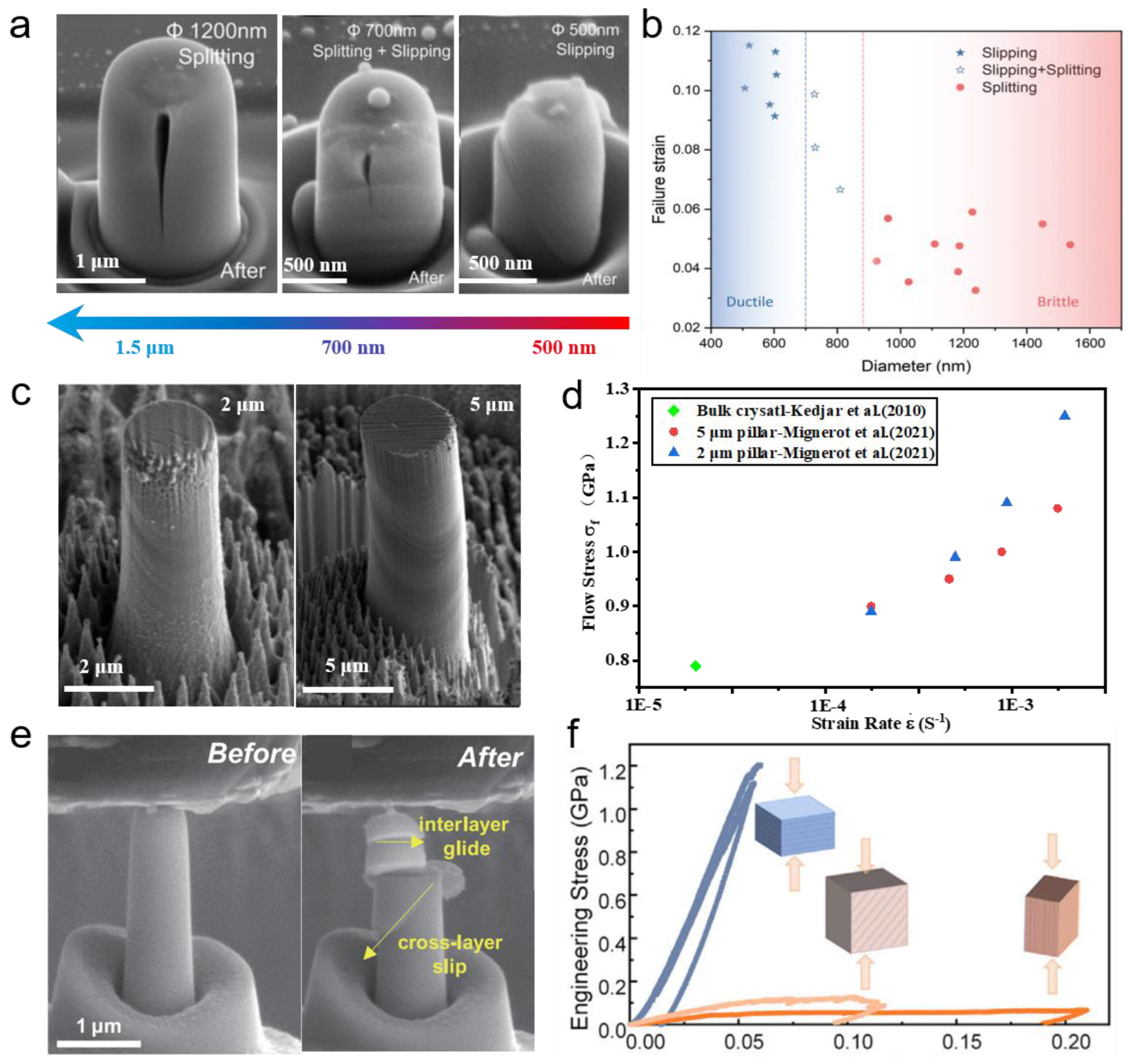 Ijms 24 06325 g002 Ijms 24 06325 g002