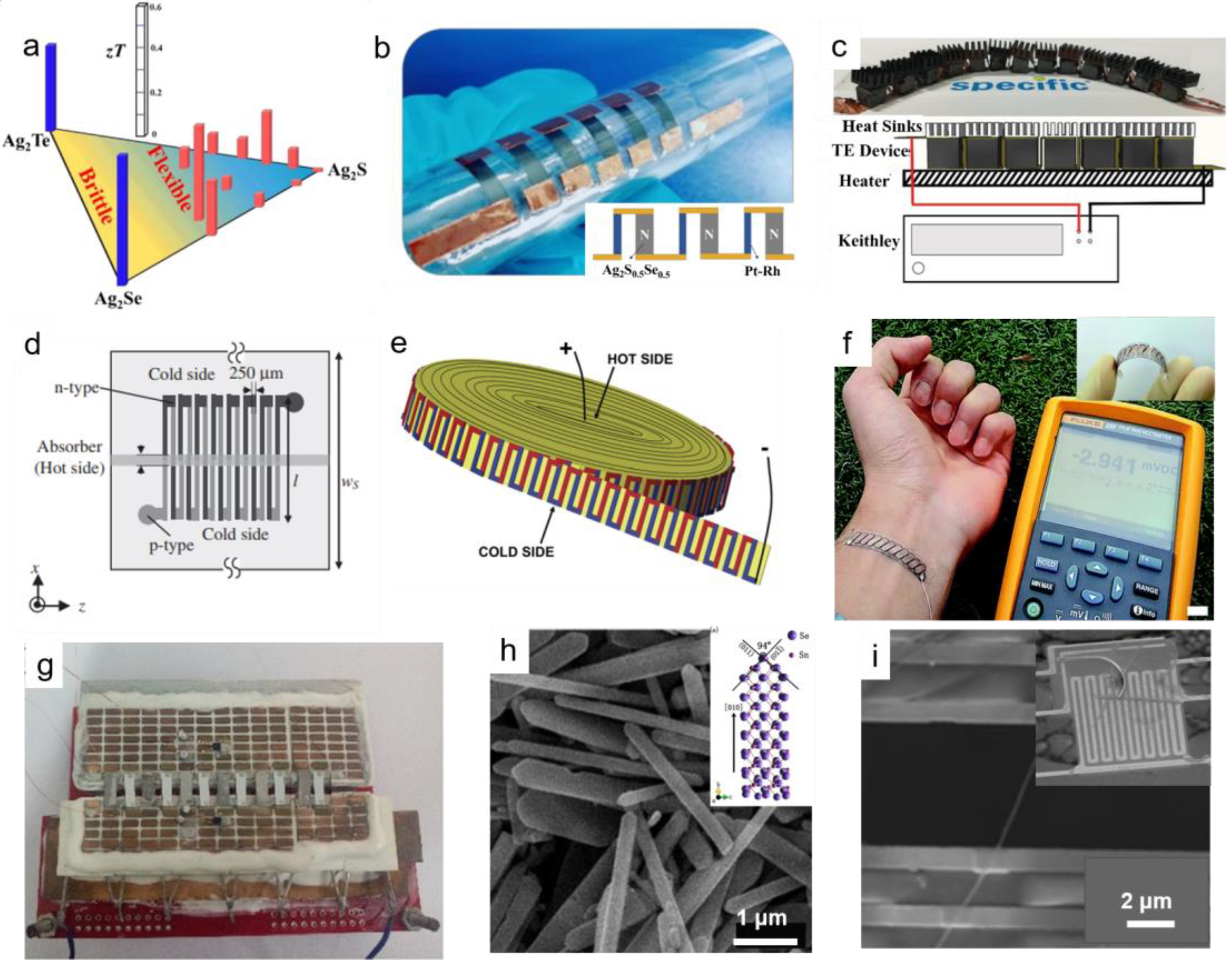 Ijms 24 06325 g007 Ijms 24 06325 g007