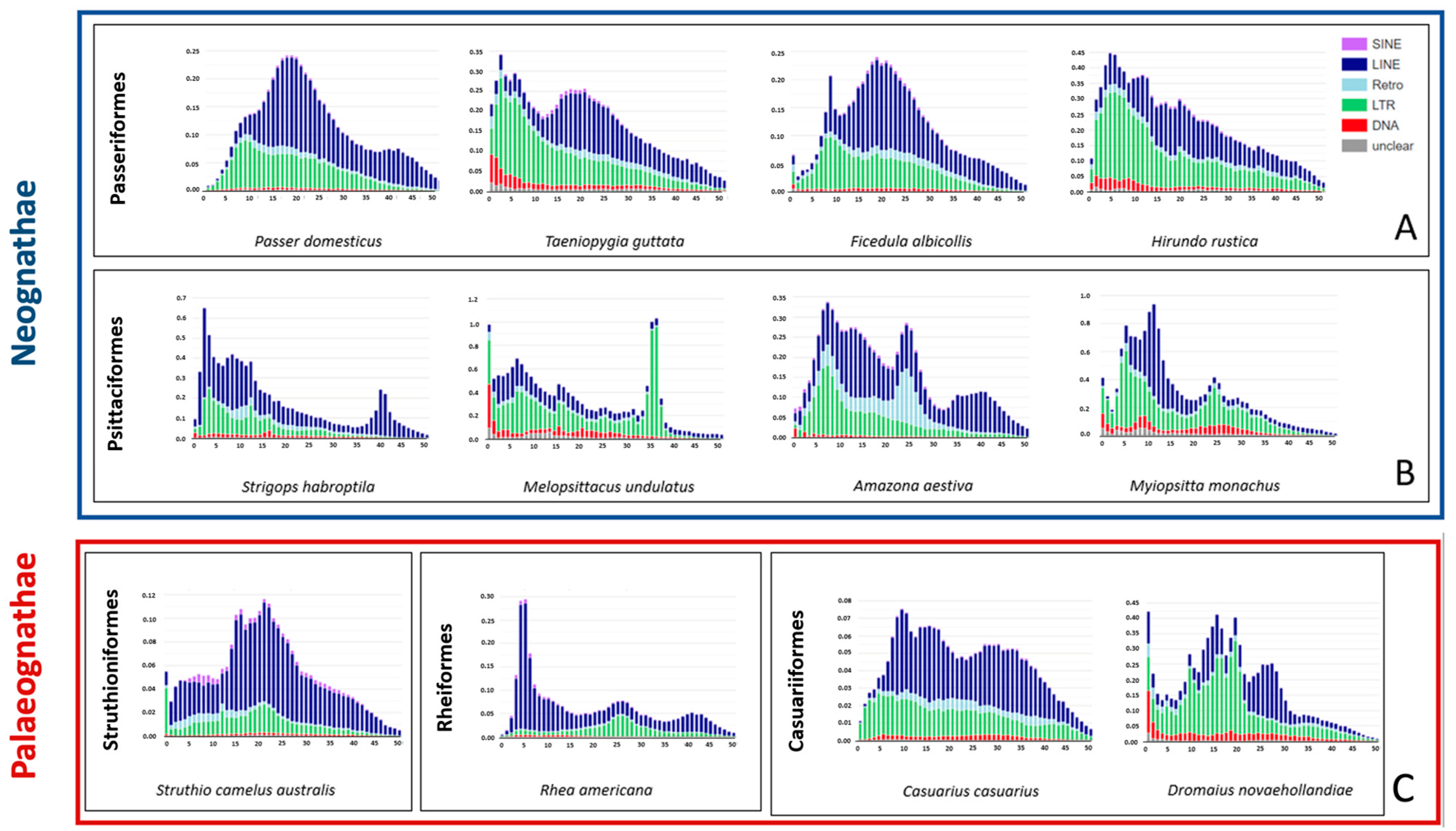 Ijms 24 06332 g005 Ijms 24 06332 g005