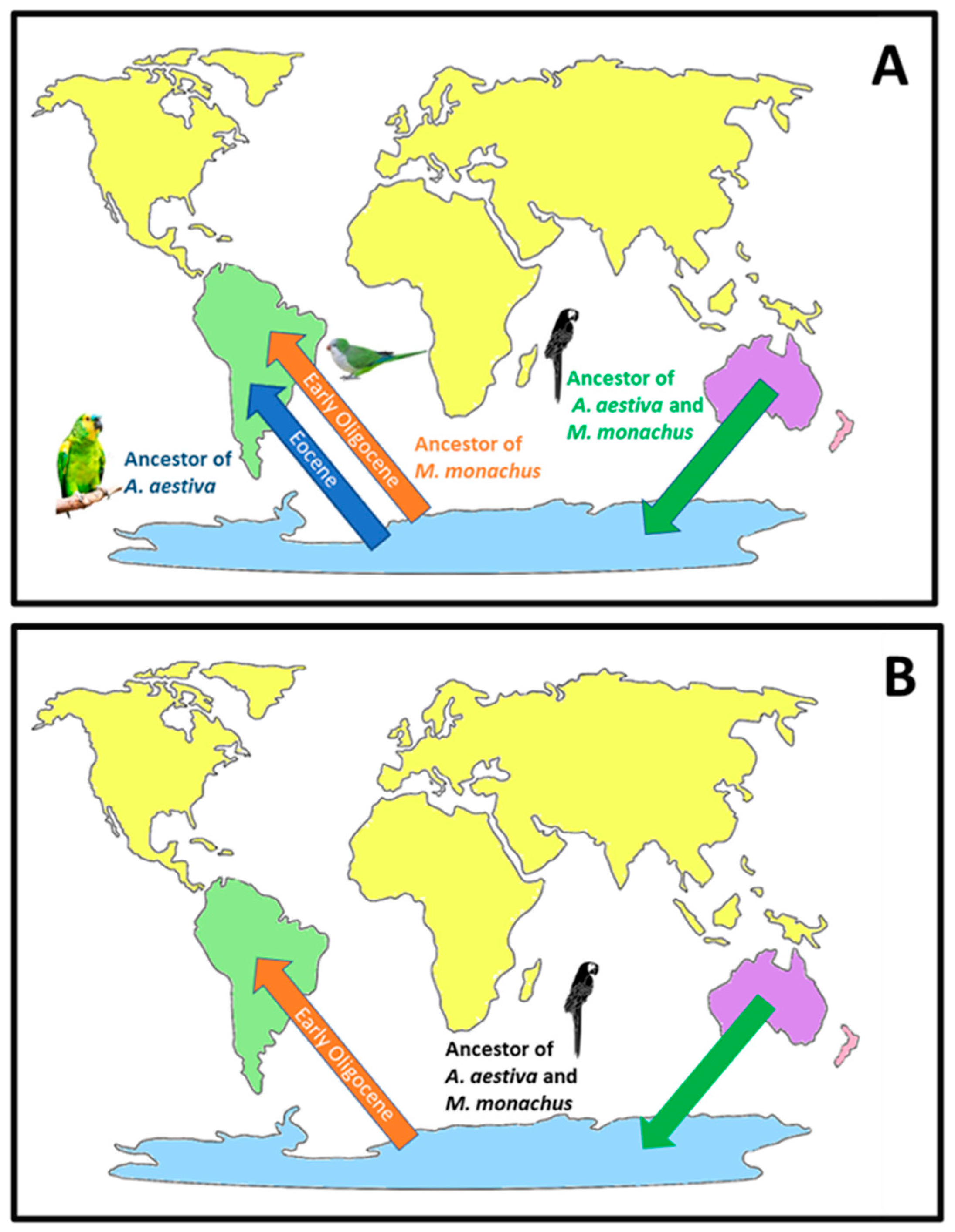 Ijms 24 06332 g006 Ijms 24 06332 g006