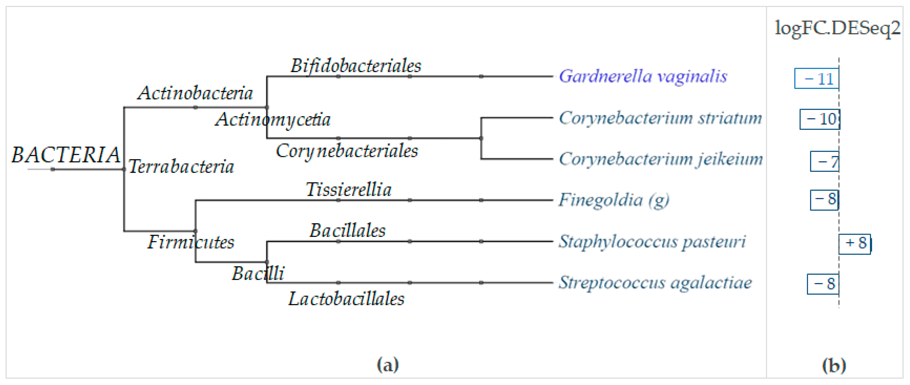 Ijms 24 06339 g012 Ijms 24 06339 g012