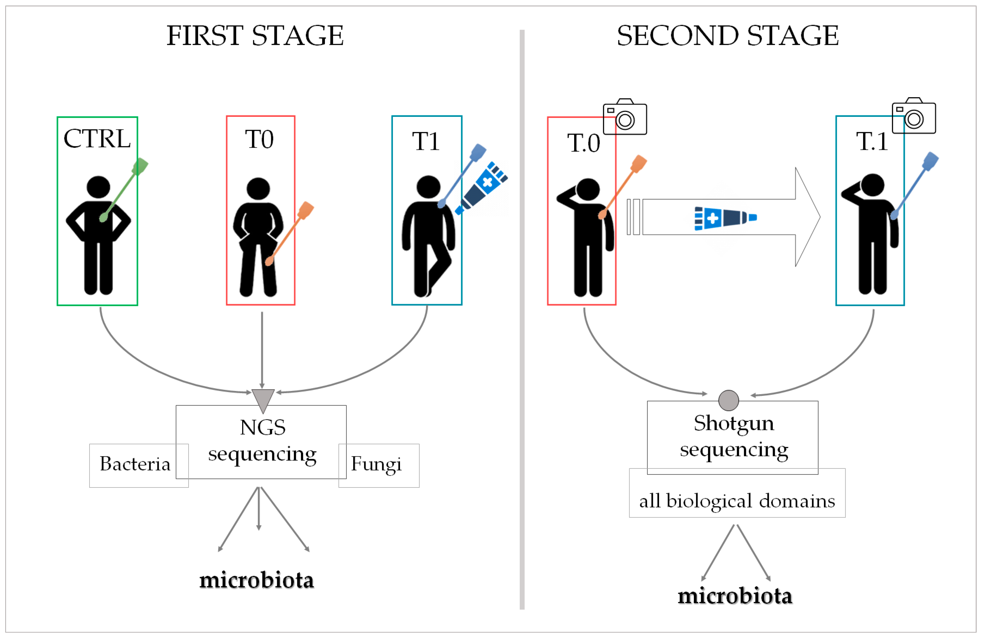 Ijms 24 06339 g013 Ijms 24 06339 g013