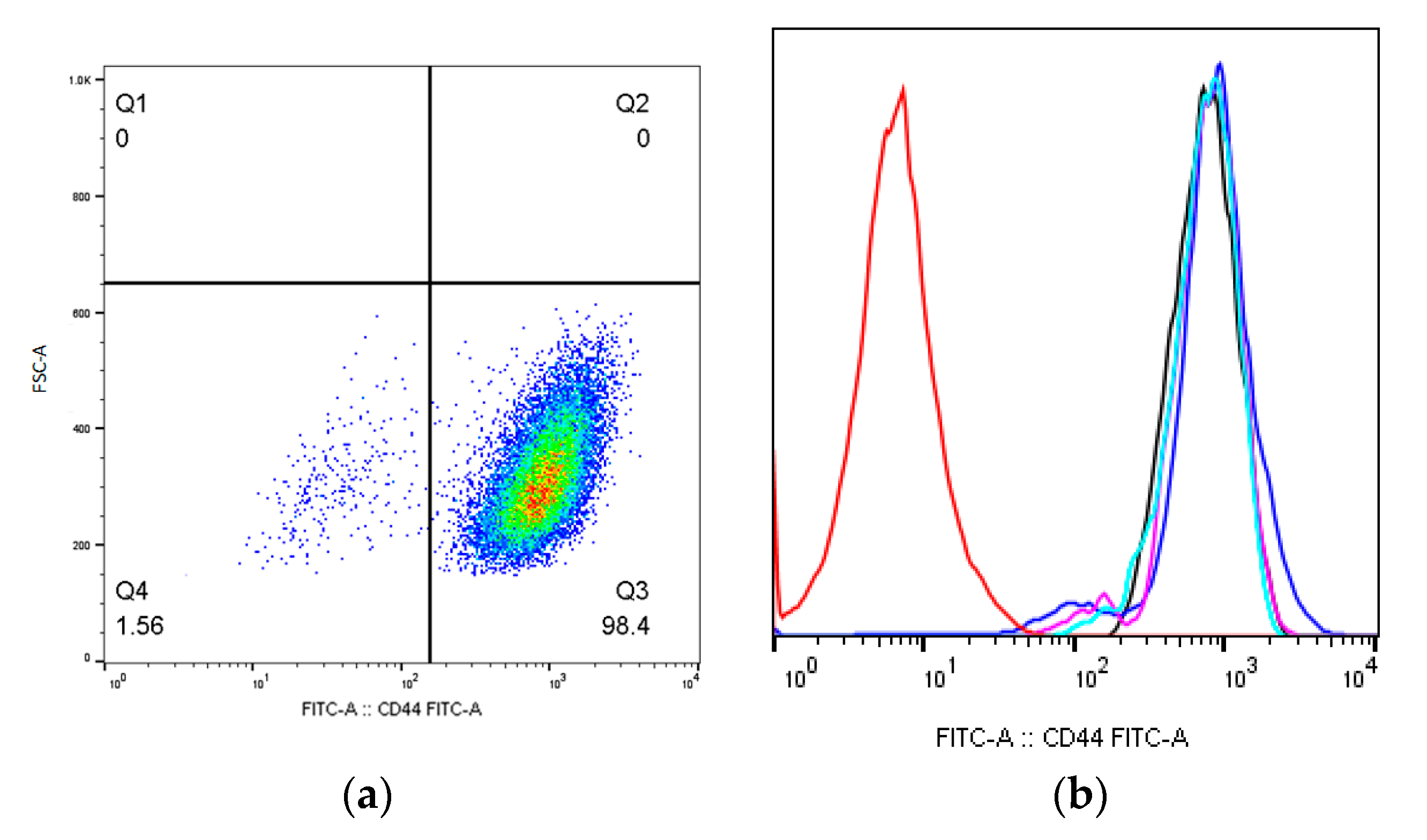 Ijms 24 06346 g004 Ijms 24 06346 g004
