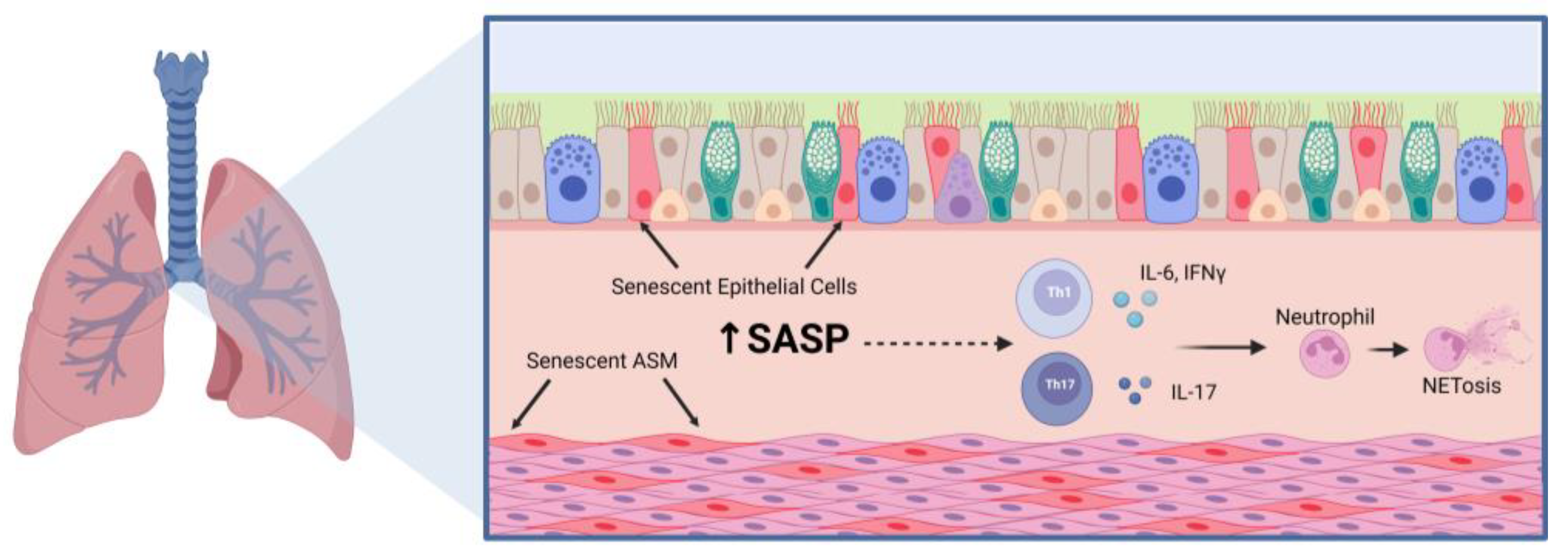 Ijms 24 06347 g001 Ijms 24 06347 g001