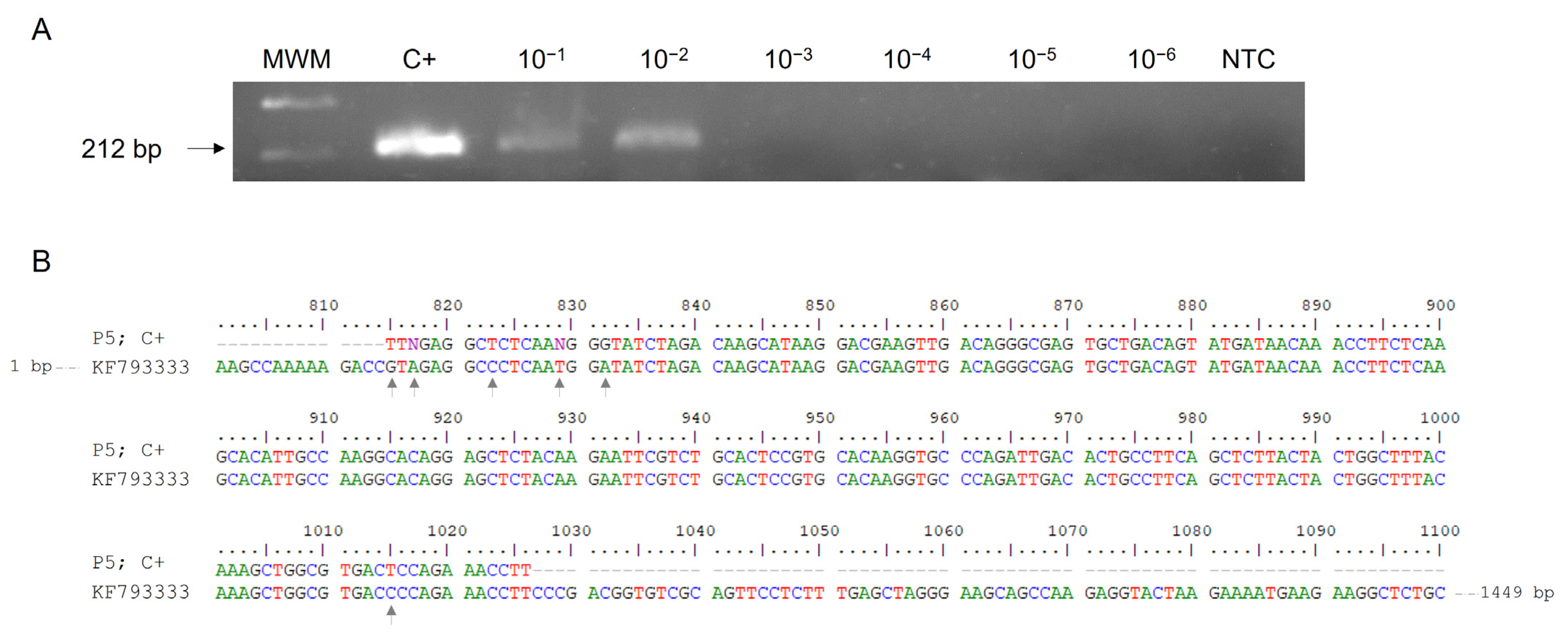 Ijms 24 06411 g001 Ijms 24 06411 g001
