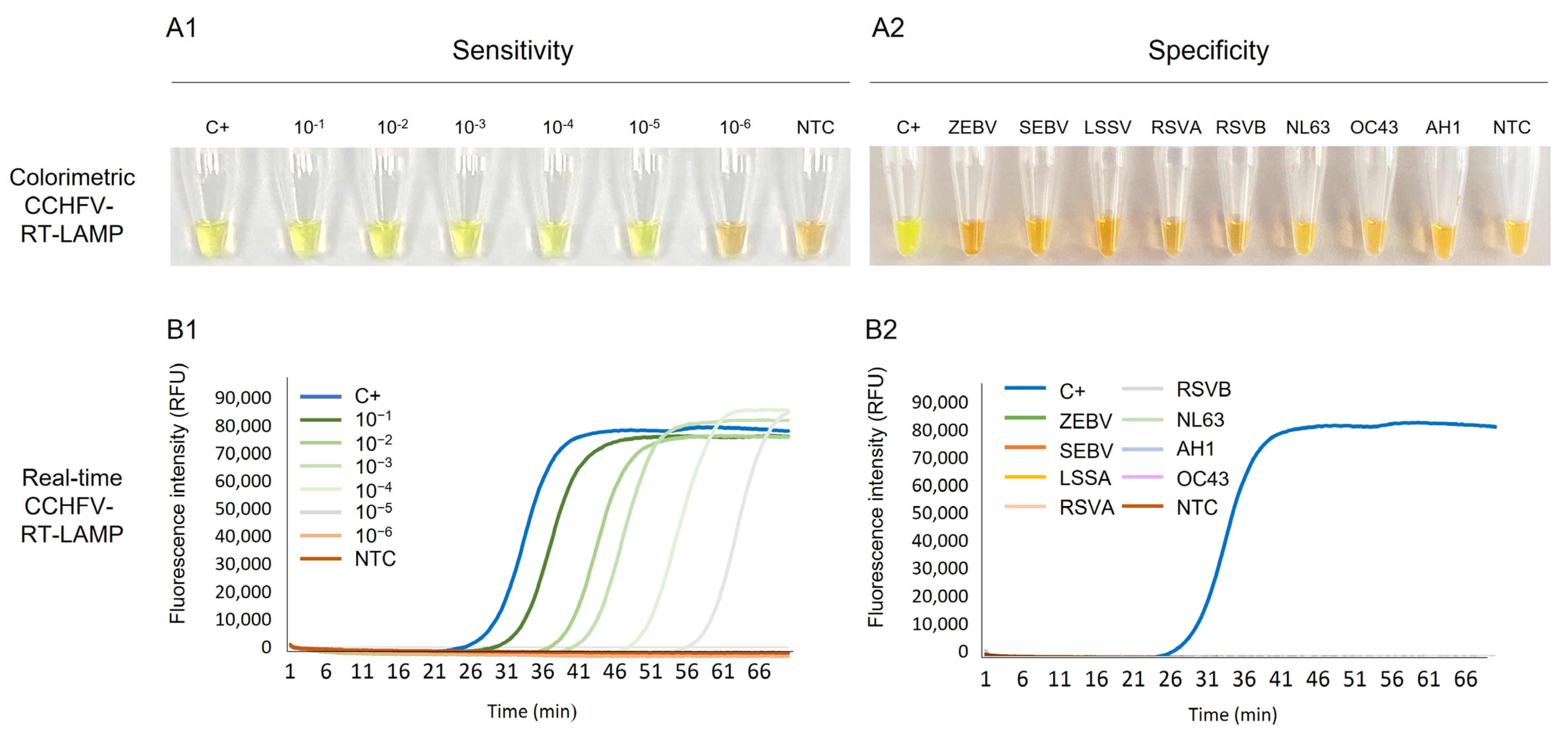Ijms 24 06411 g002 Ijms 24 06411 g002