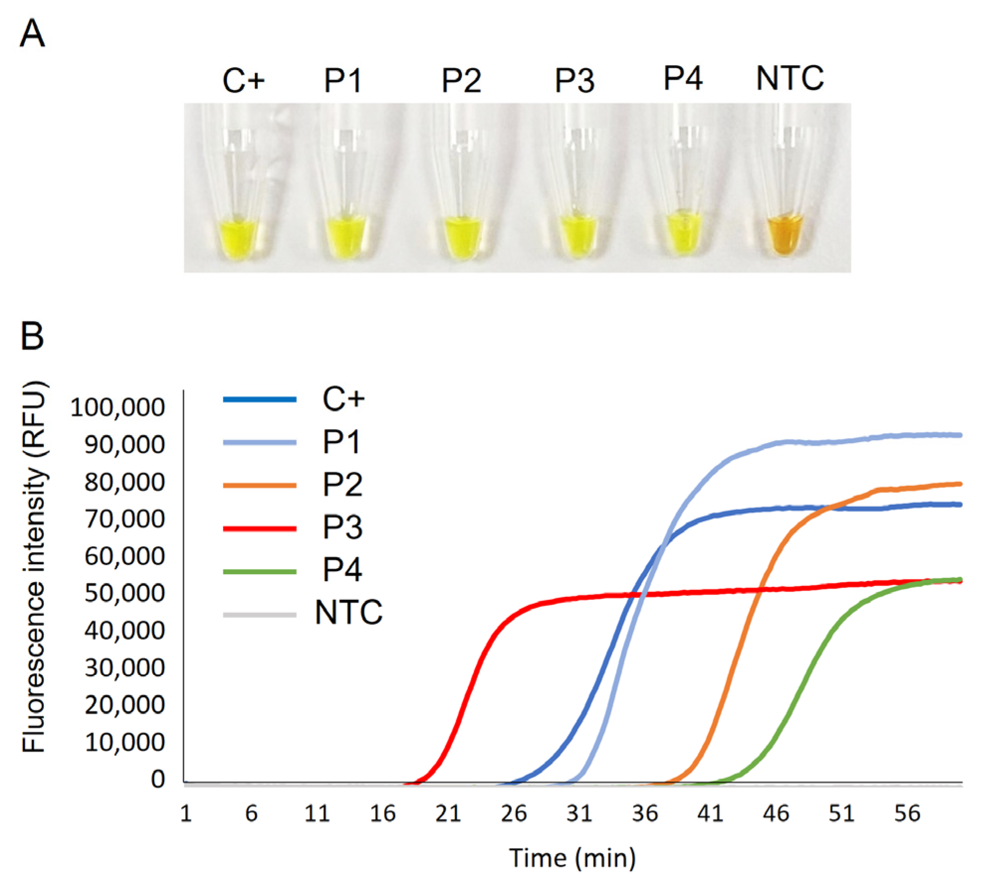 Ijms 24 06411 g003 Ijms 24 06411 g003