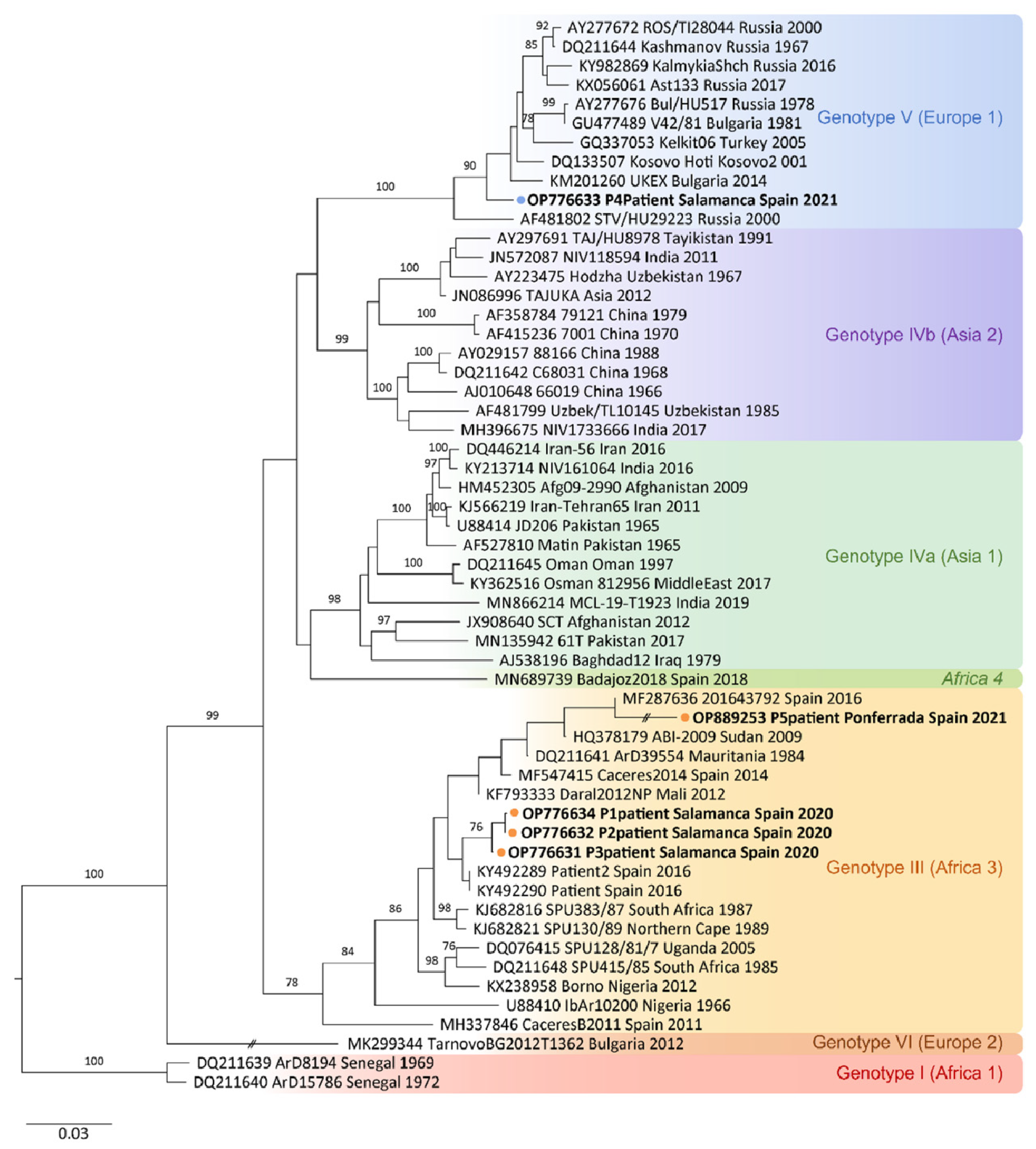 Ijms 24 06411 g005 Ijms 24 06411 g005