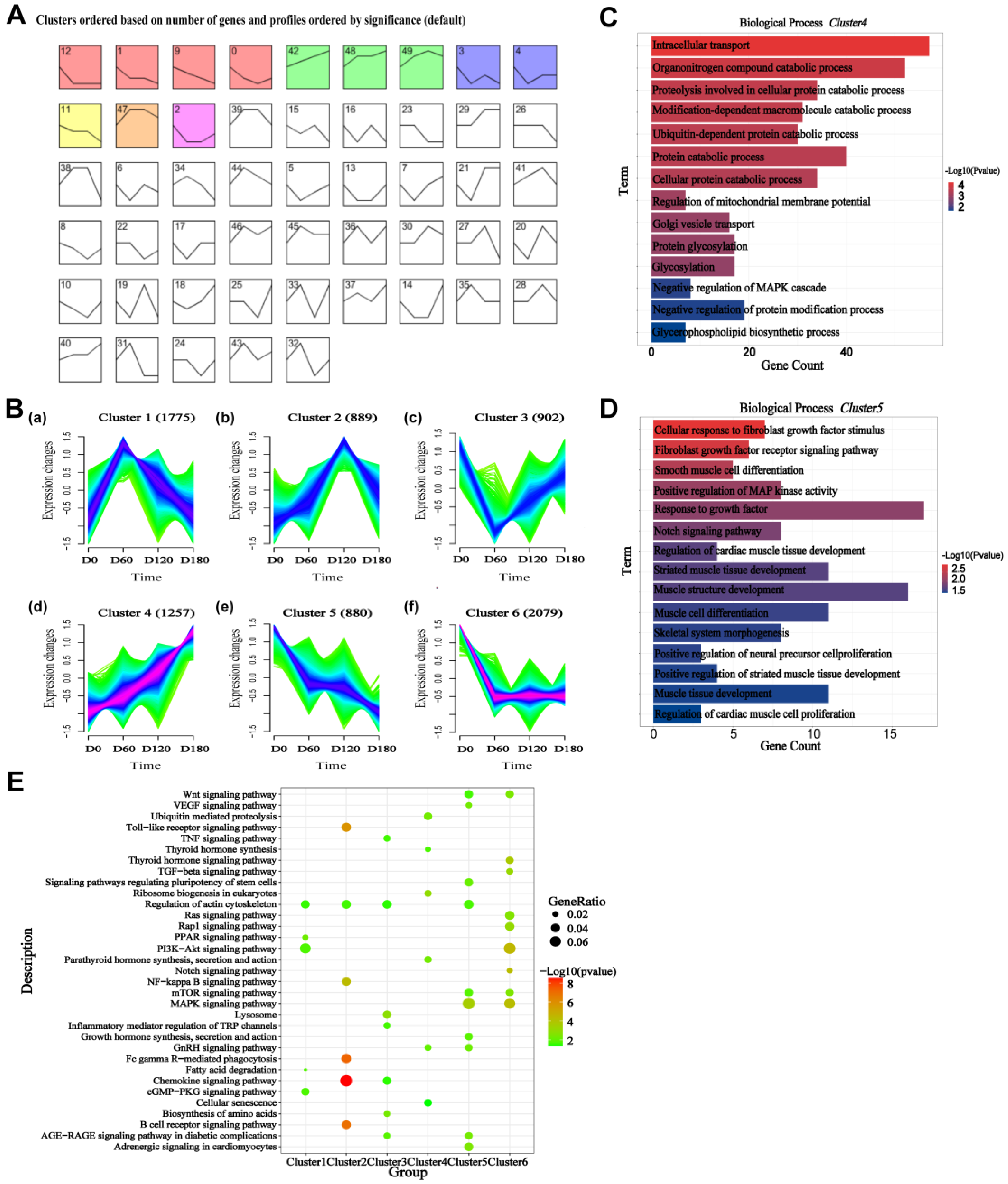 Ijms 24 06413 g003 Ijms 24 06413 g003