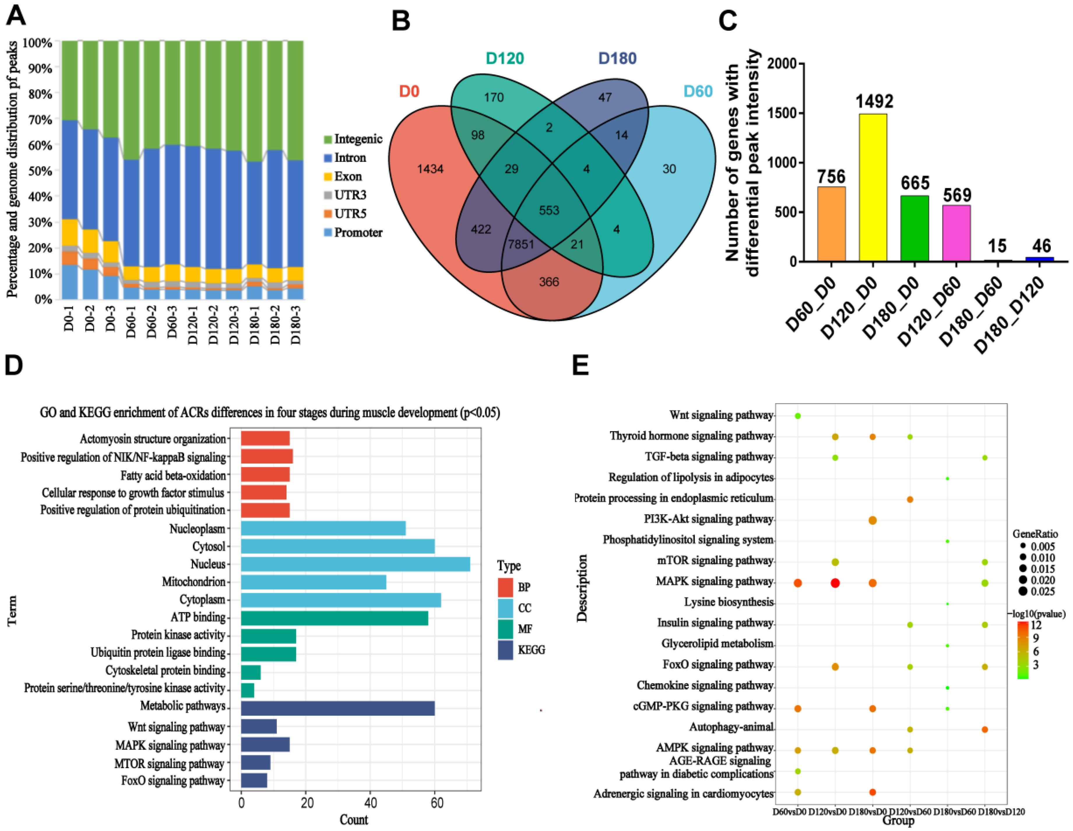 Ijms 24 06413 g005 Ijms 24 06413 g005