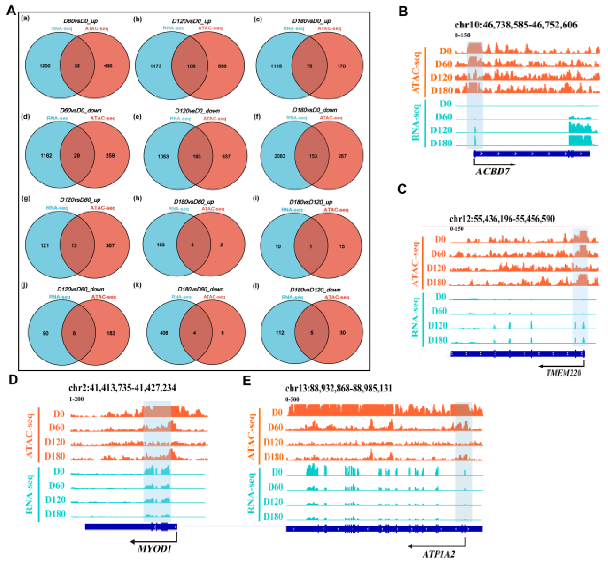Ijms 24 06413 g007 Ijms 24 06413 g007