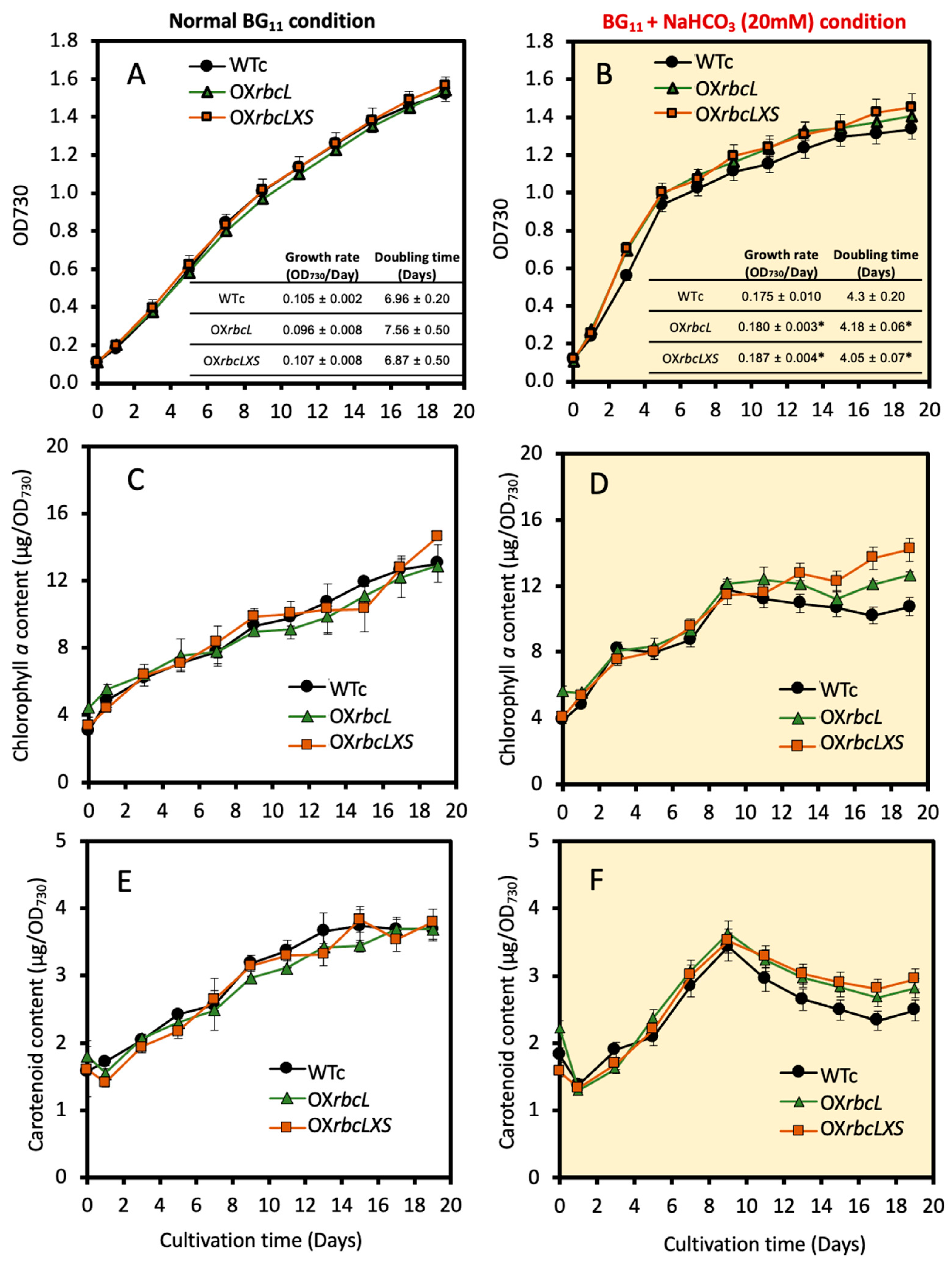 Ijms 24 06415 g003 Ijms 24 06415 g003