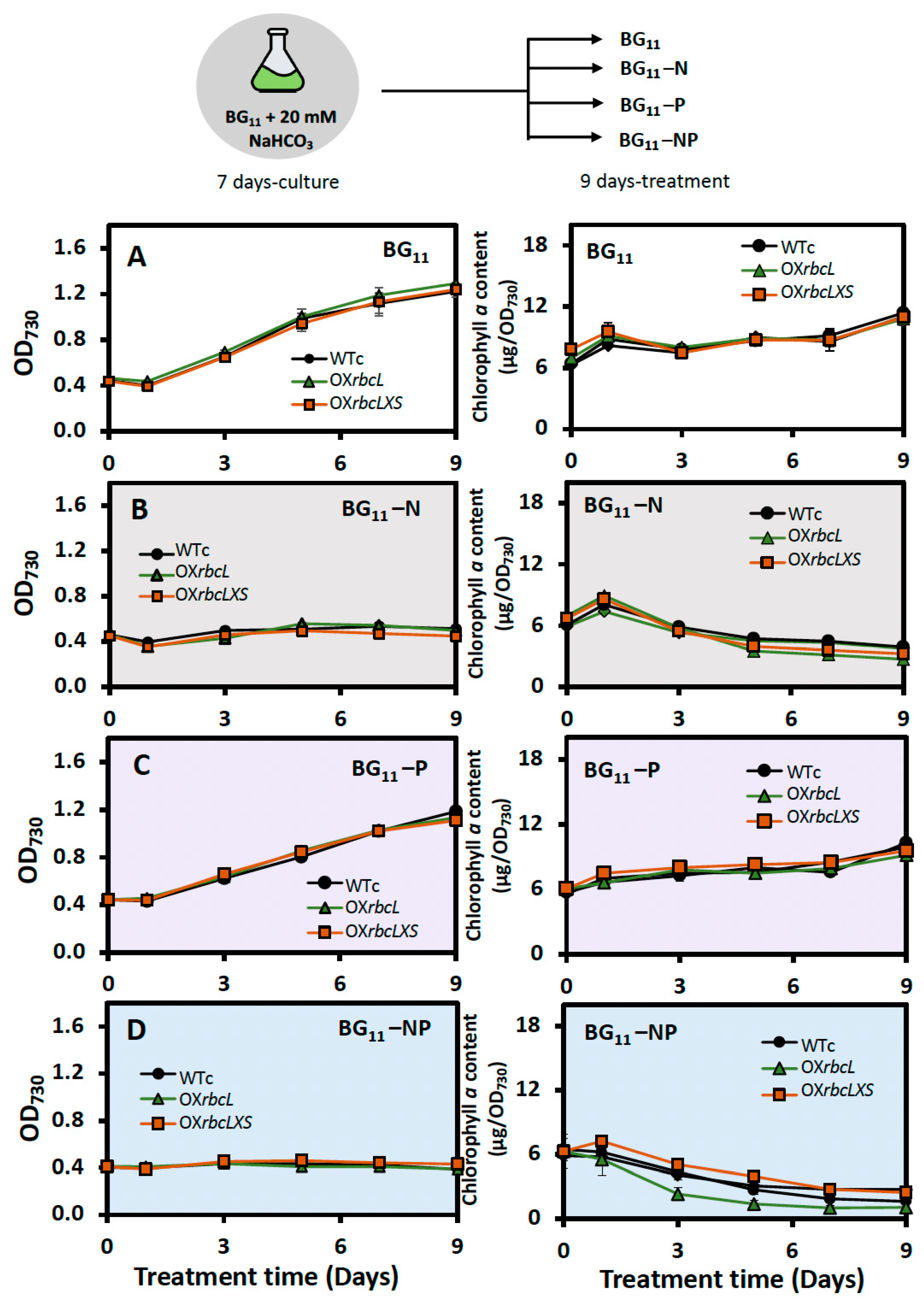 Ijms 24 06415 g005 Ijms 24 06415 g005