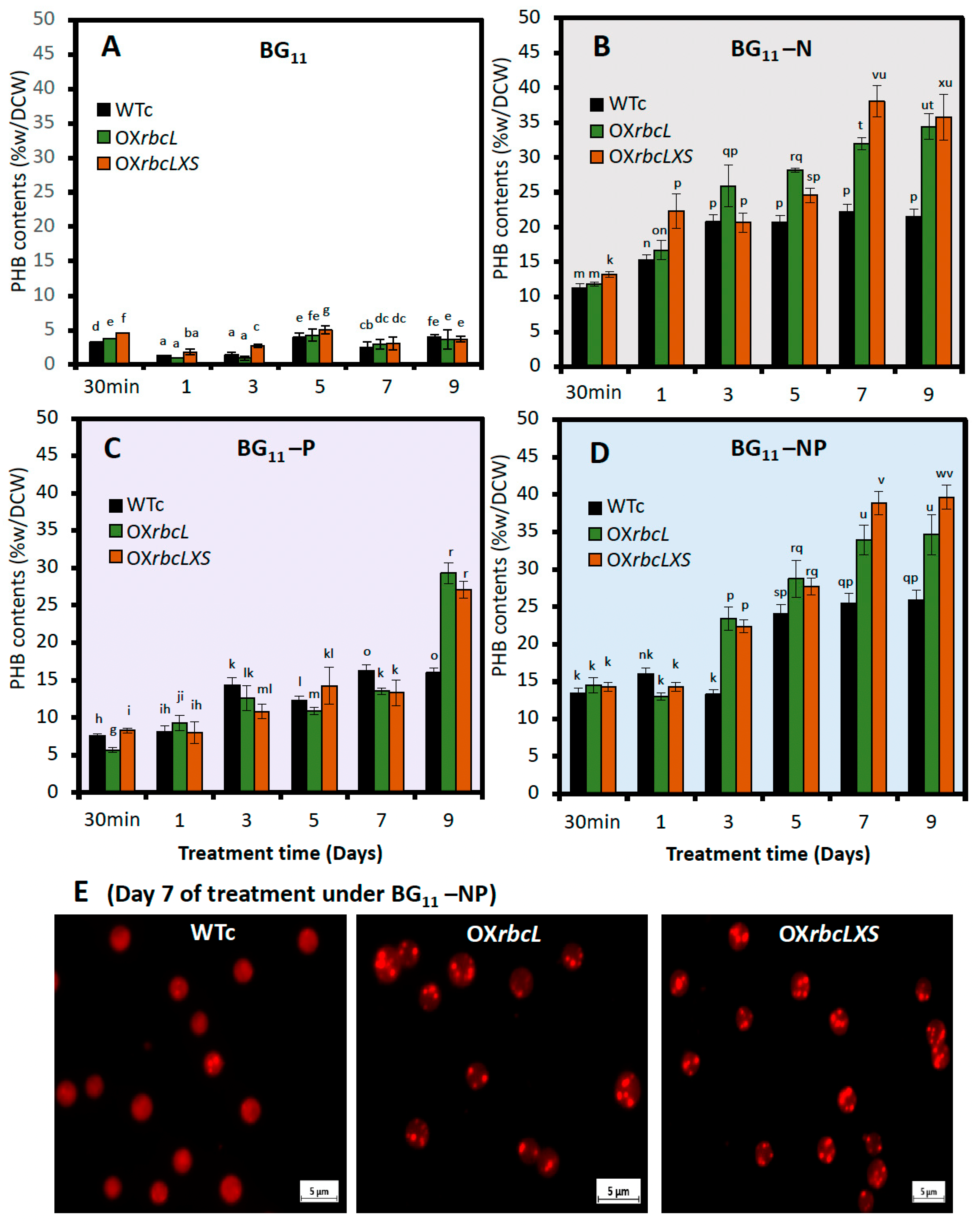 Ijms 24 06415 g006 Ijms 24 06415 g006