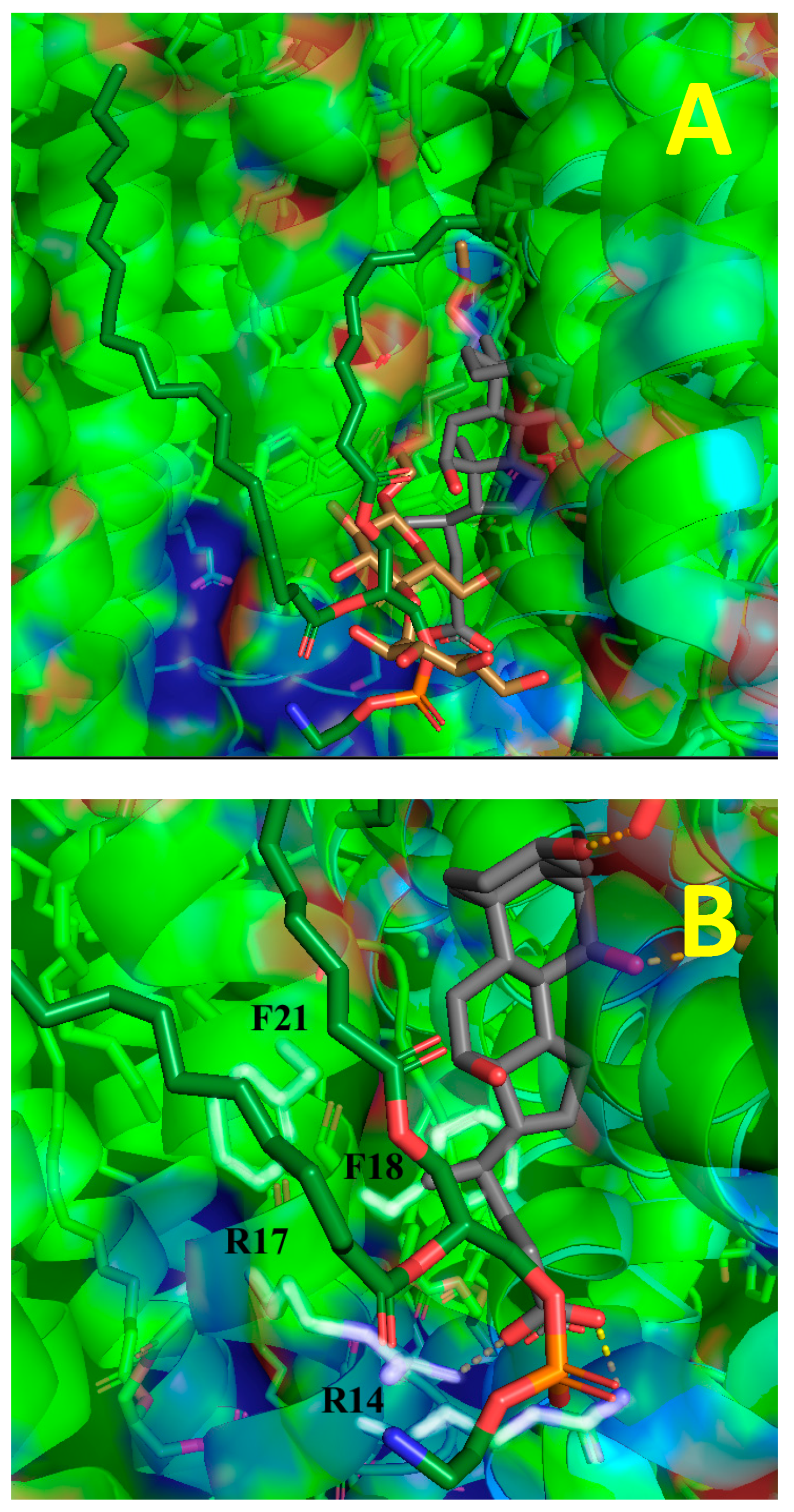 Ijms 24 06428 g002 Ijms 24 06428 g002