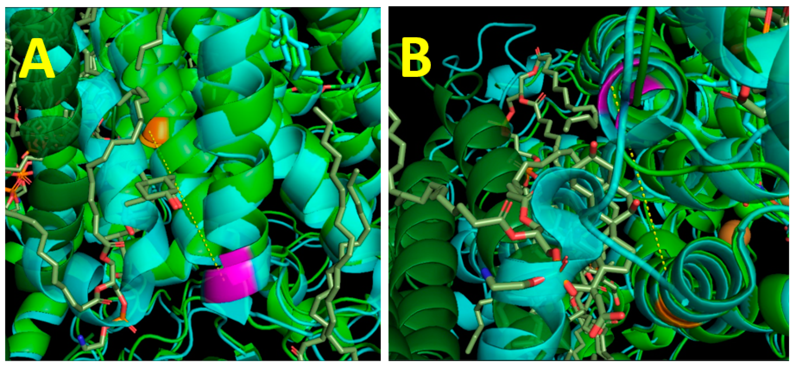 Ijms 24 06428 g003 Ijms 24 06428 g003