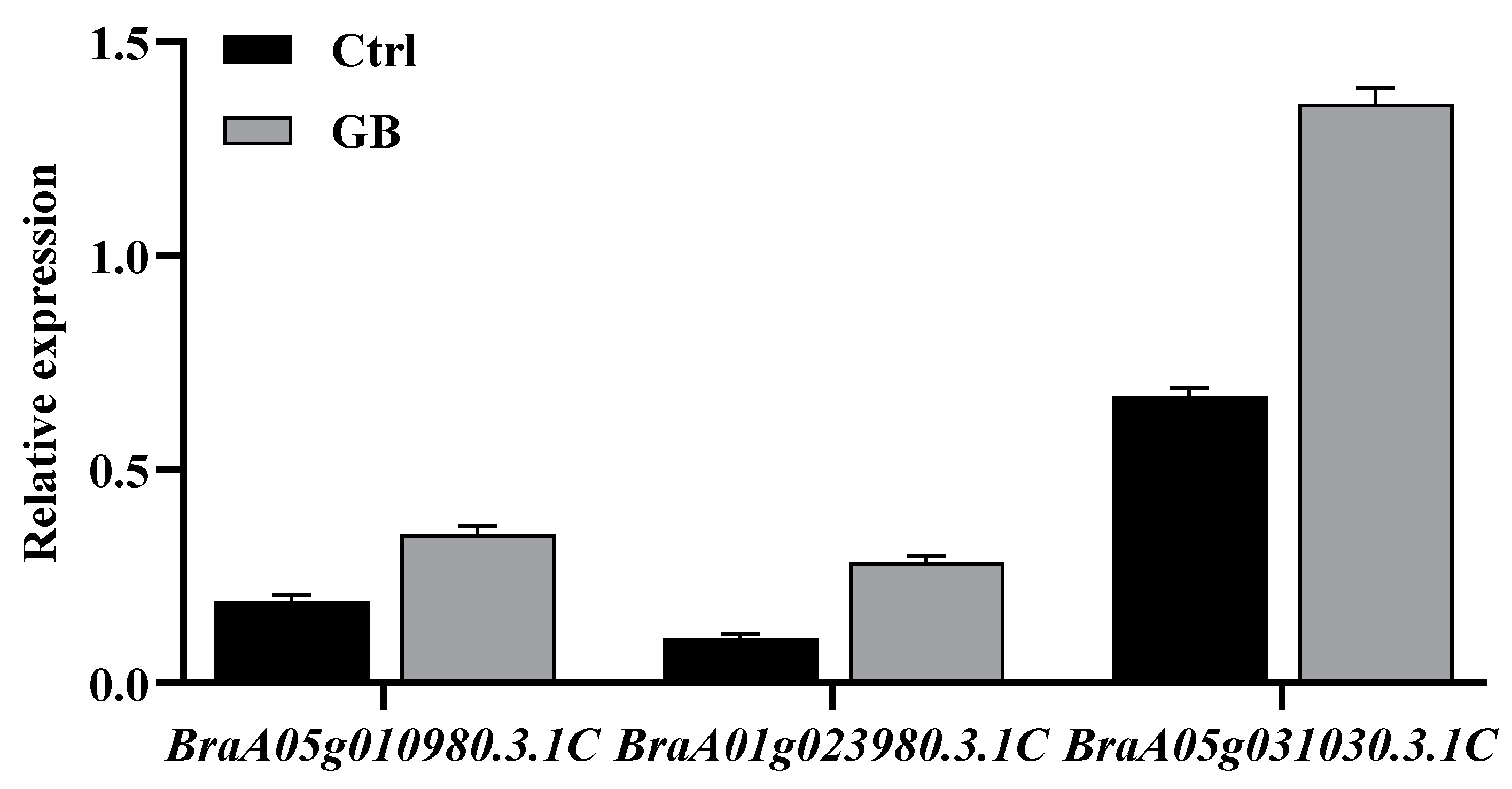Ijms 24 06429 g007 Ijms 24 06429 g007
