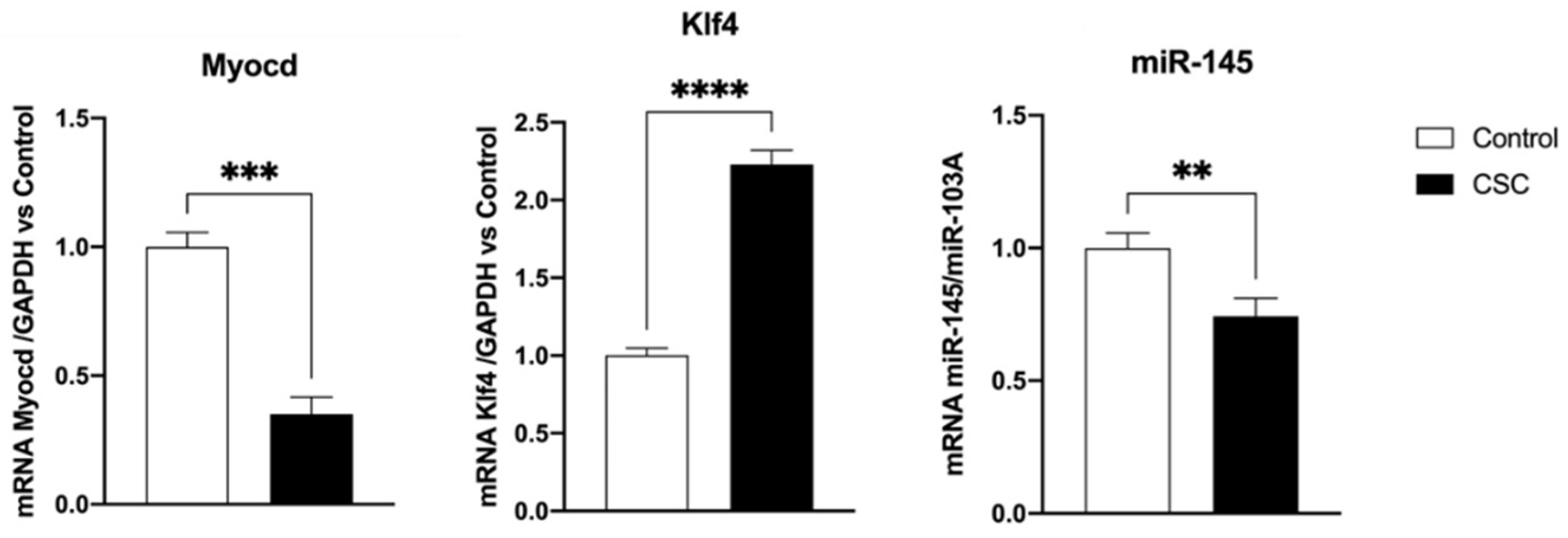 Ijms 24 06431 g002 Ijms 24 06431 g002