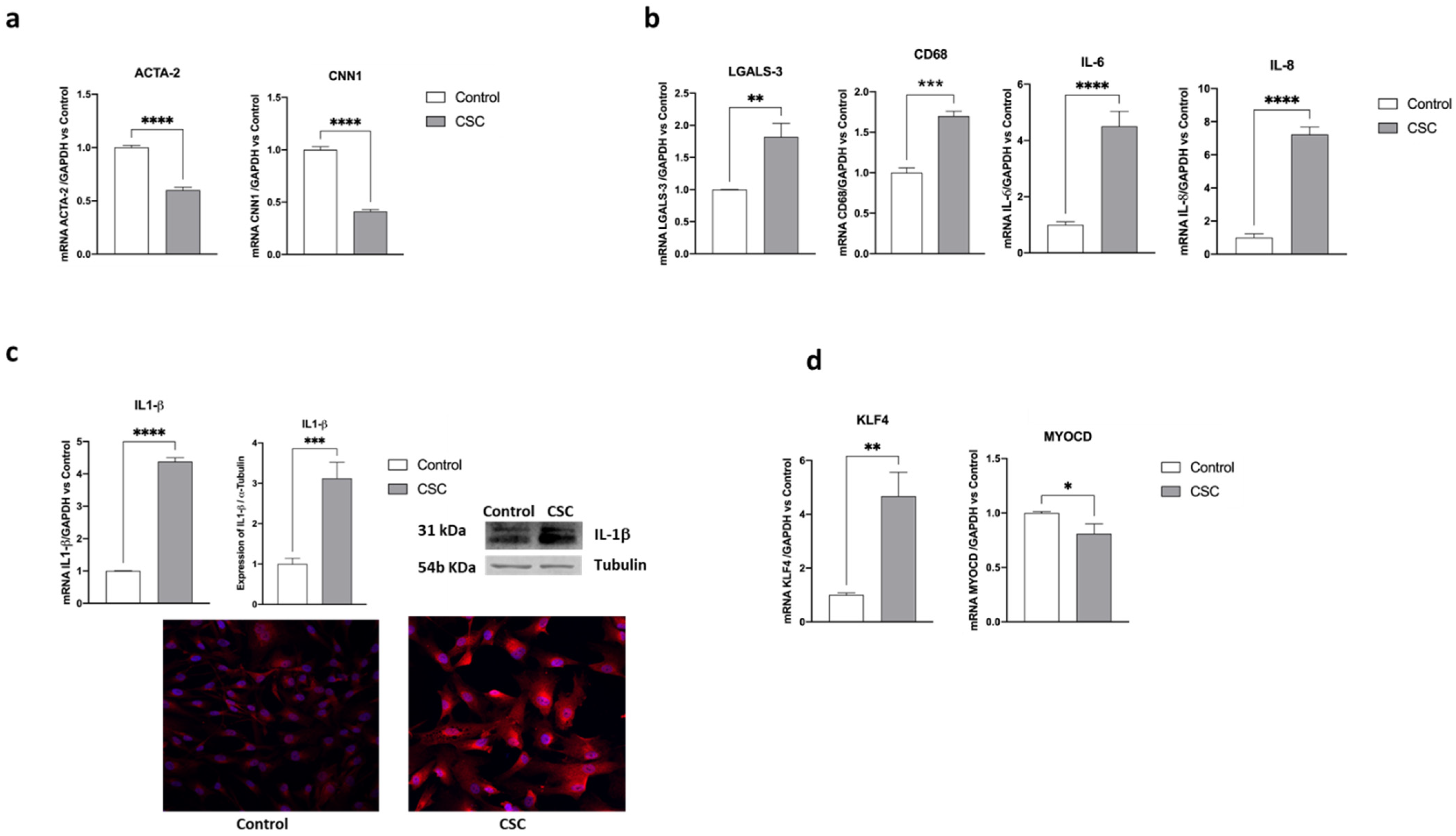 Ijms 24 06431 g003 Ijms 24 06431 g003