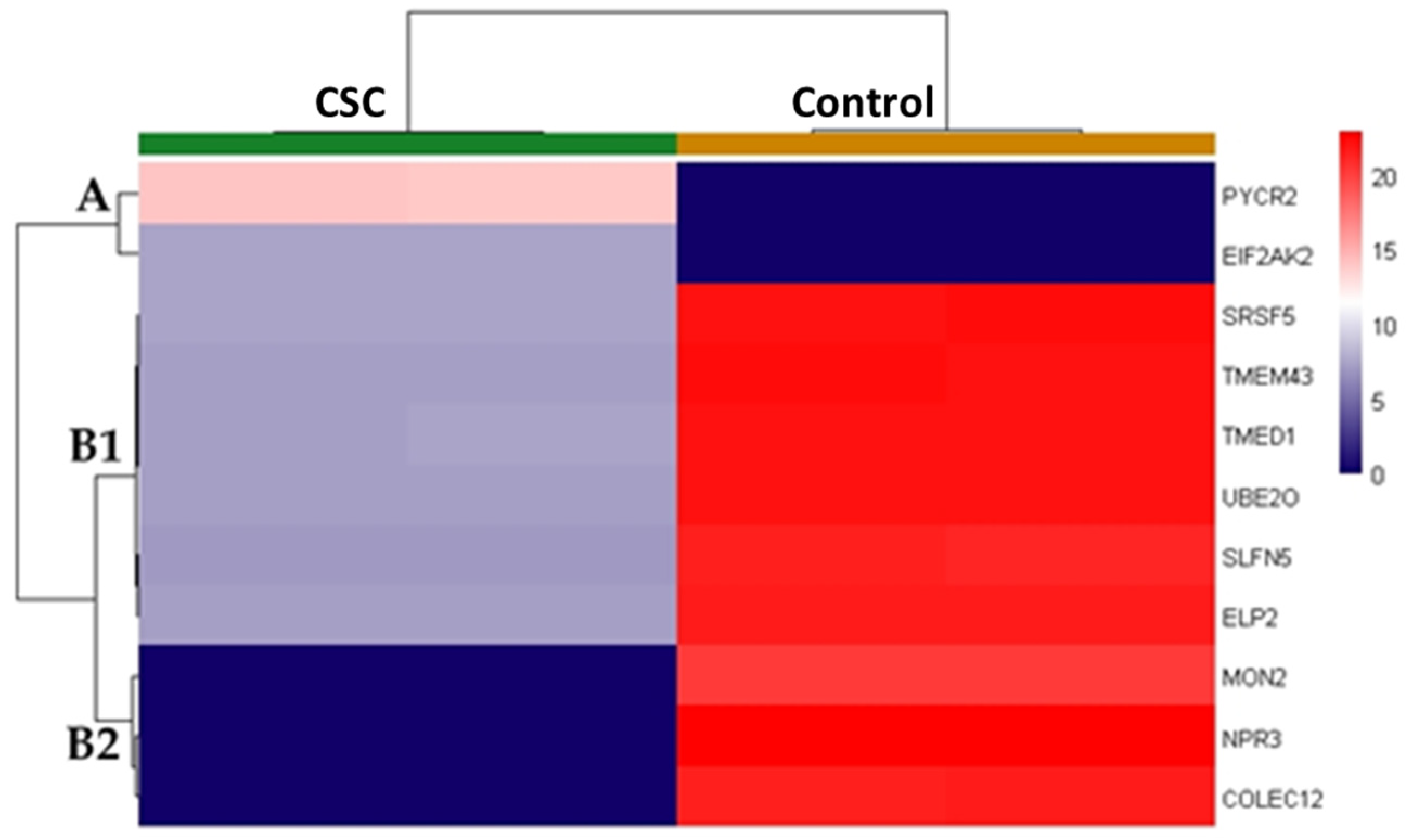 Ijms 24 06431 g006 Ijms 24 06431 g006