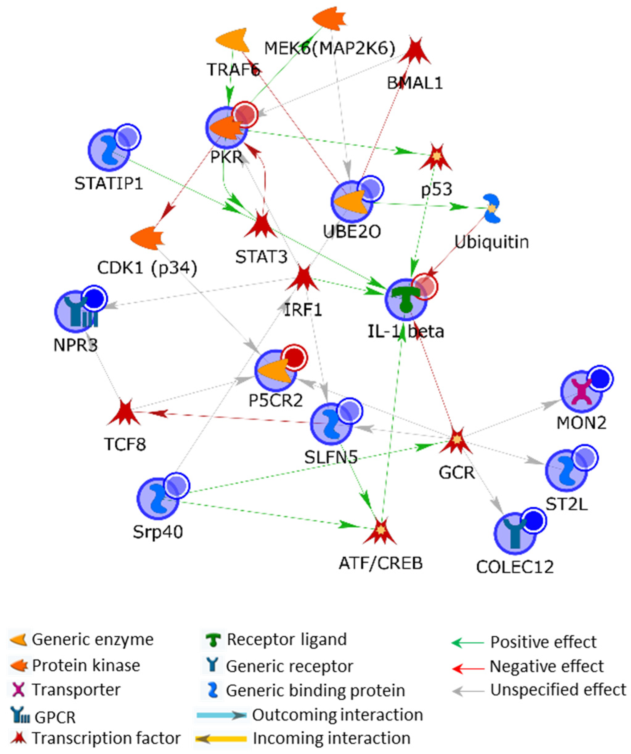 Ijms 24 06431 g007 Ijms 24 06431 g007