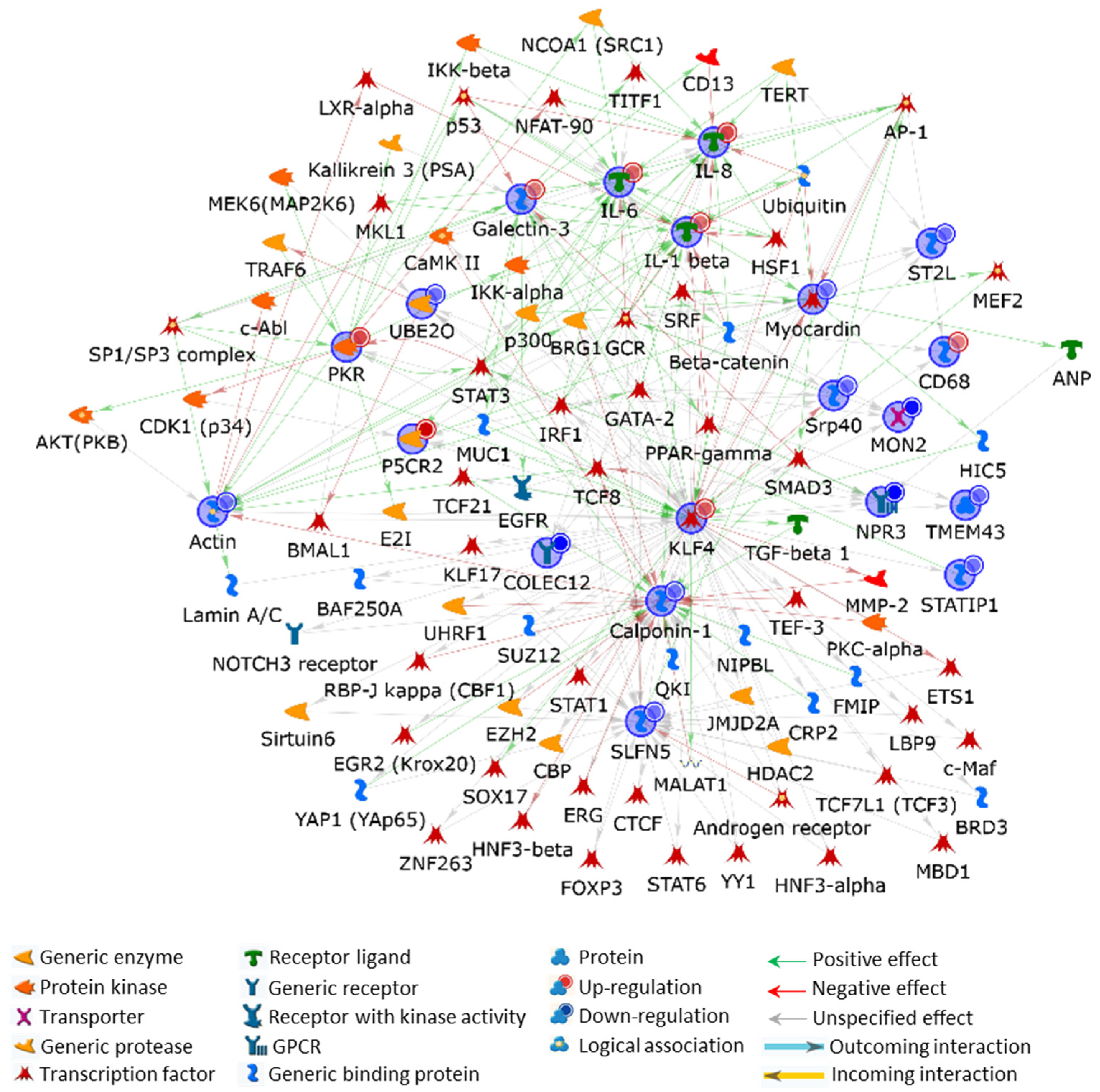 Ijms 24 06431 g008 Ijms 24 06431 g008