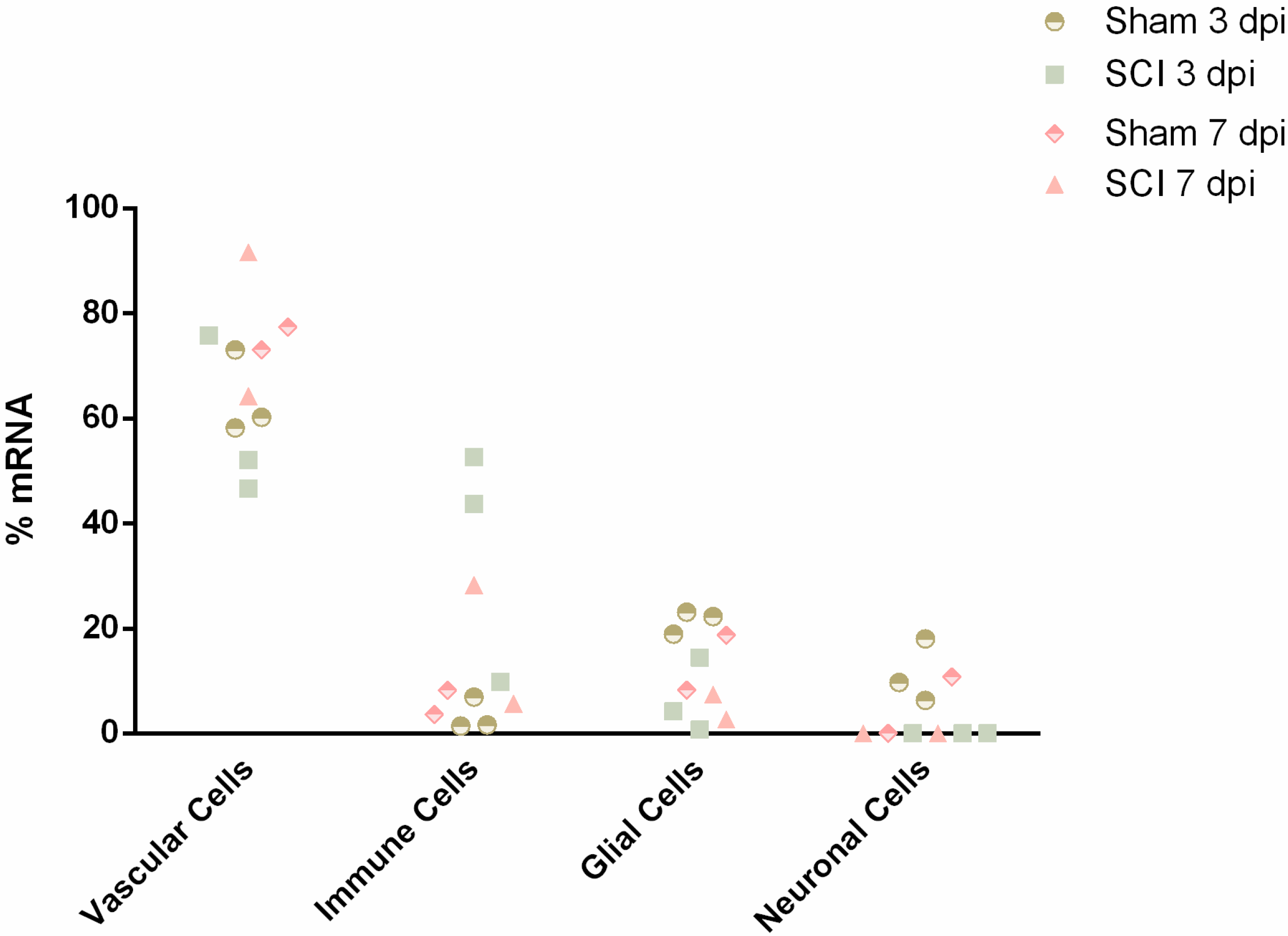 Ijms 24 06433 g001 Ijms 24 06433 g001