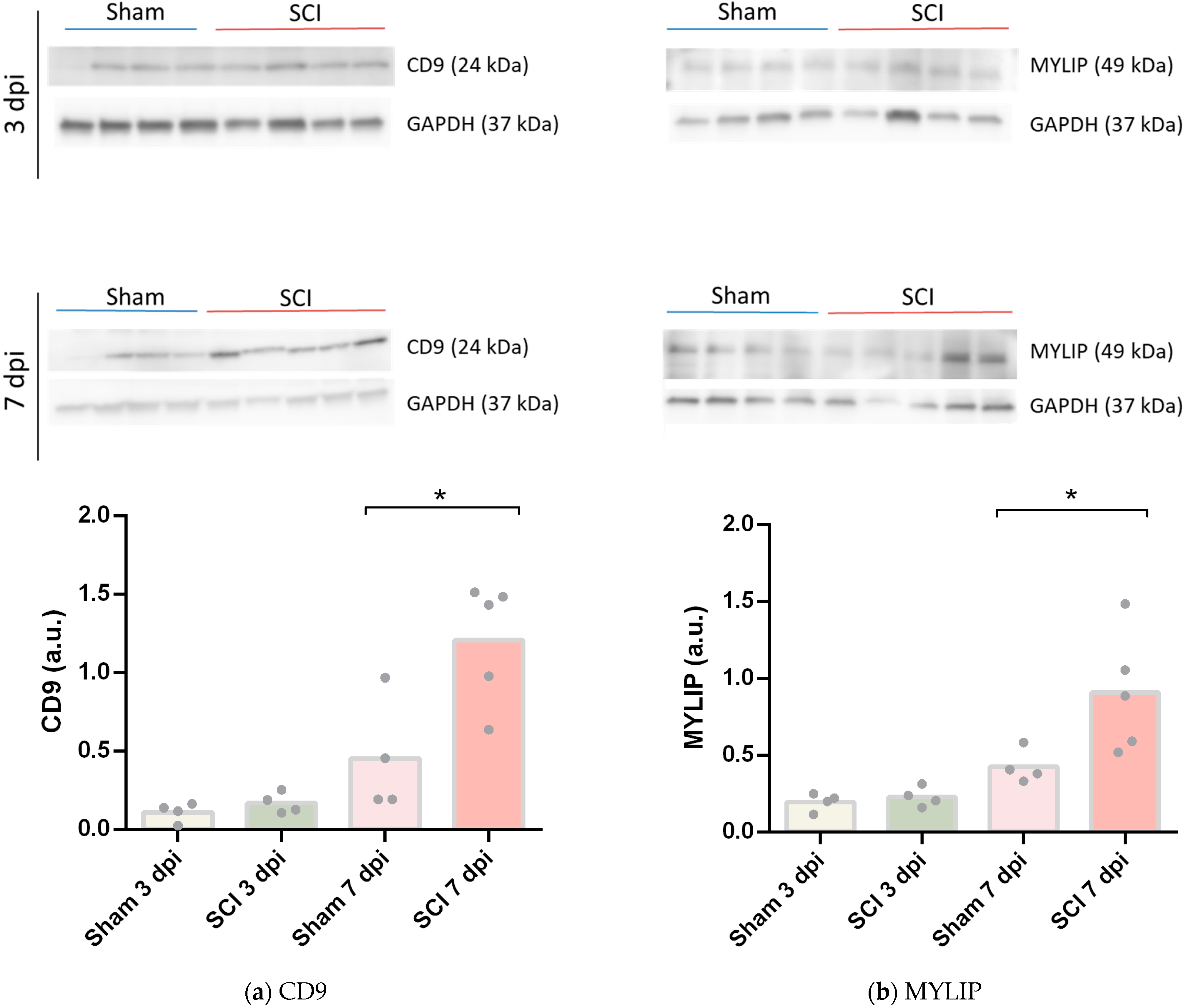 Ijms 24 06433 g005 Ijms 24 06433 g005