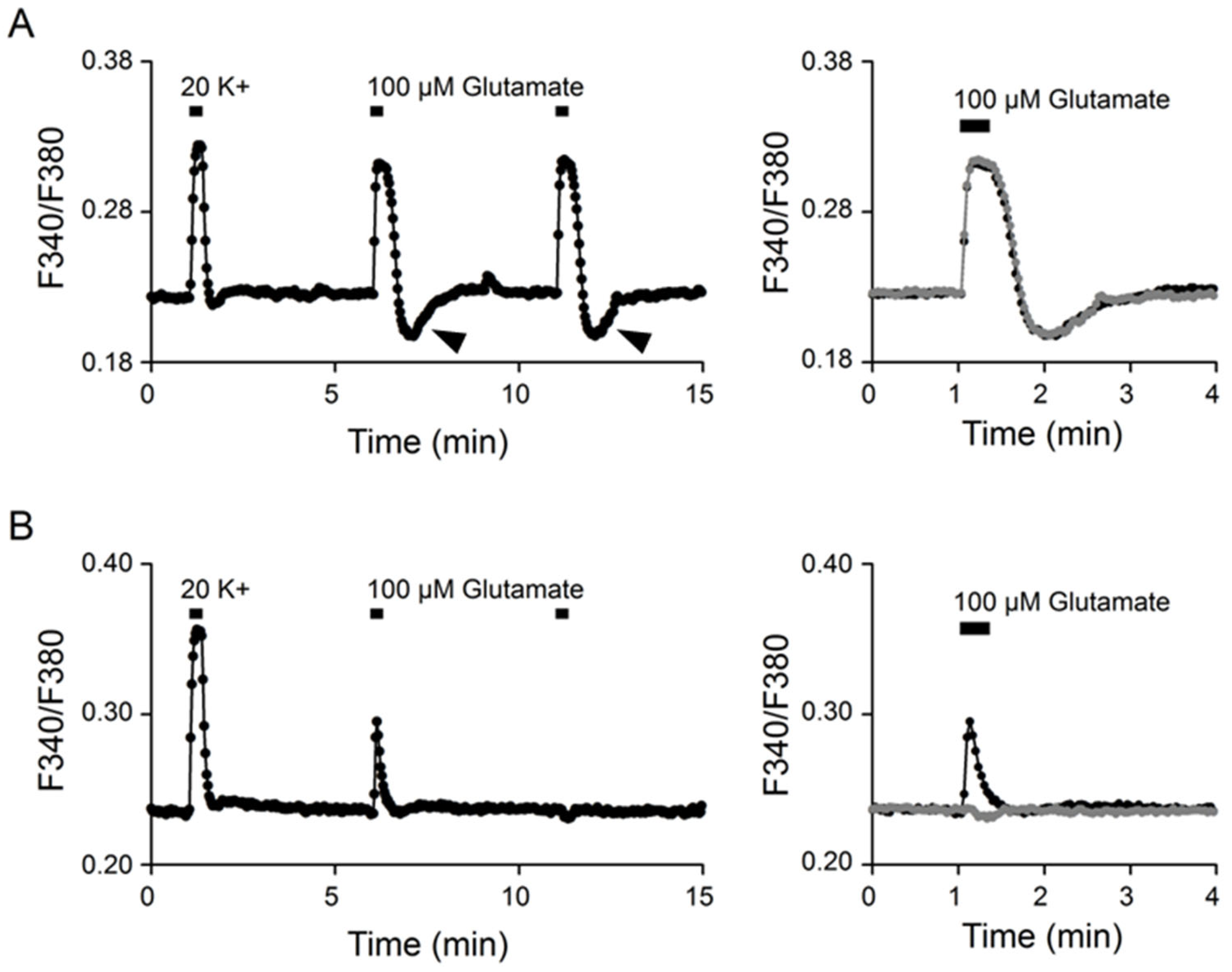 Ijms 24 06444 g001 Ijms 24 06444 g001