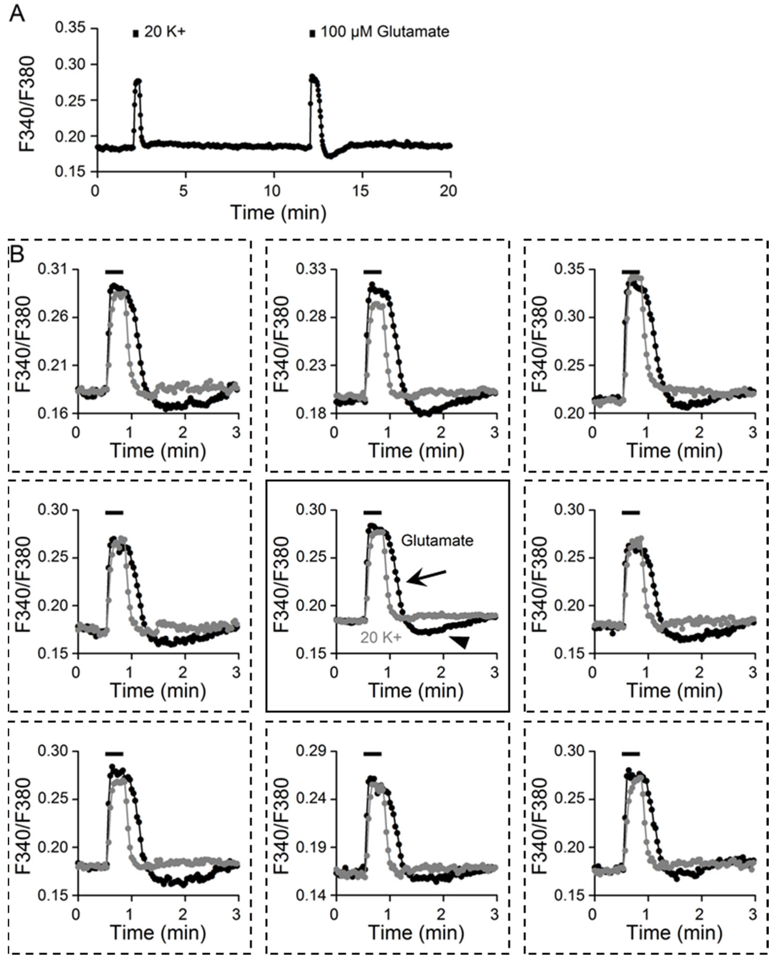 Ijms 24 06444 g002 Ijms 24 06444 g002