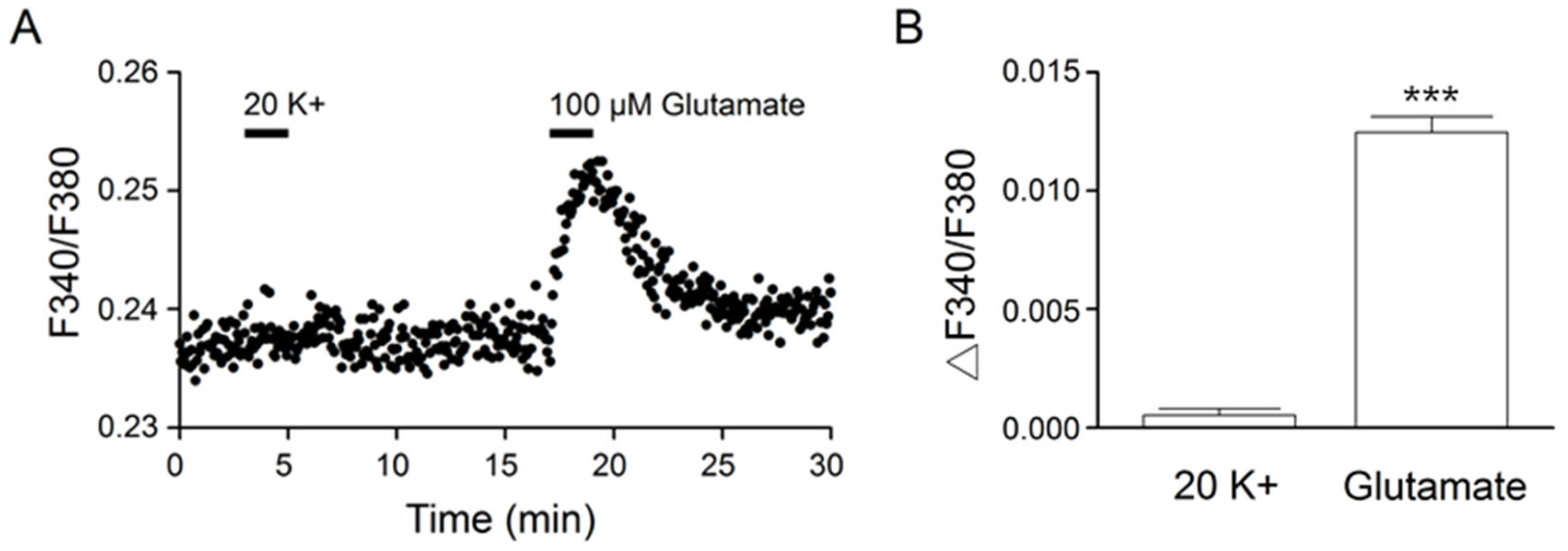 Ijms 24 06444 g003 Ijms 24 06444 g003