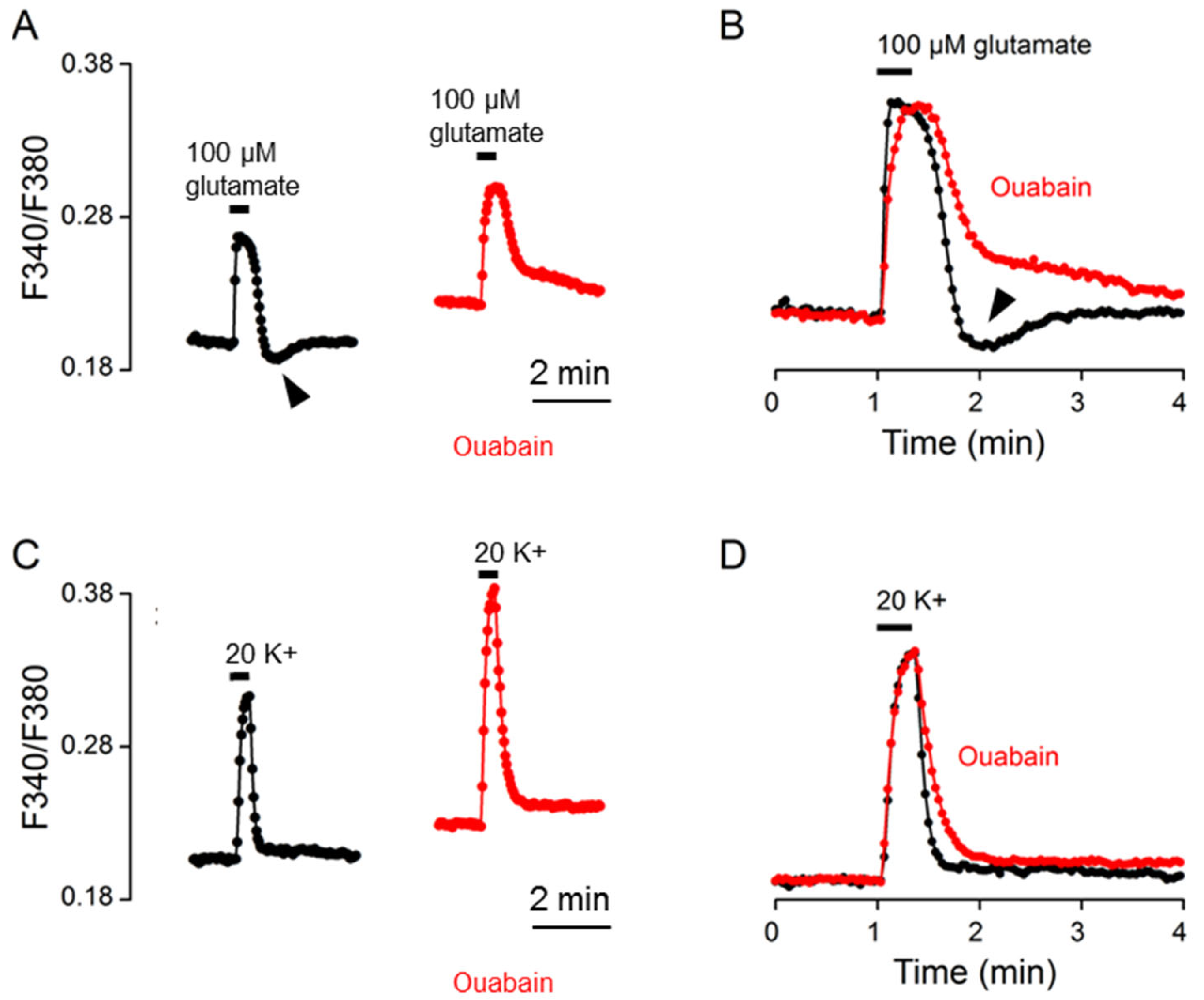 Ijms 24 06444 g005 Ijms 24 06444 g005