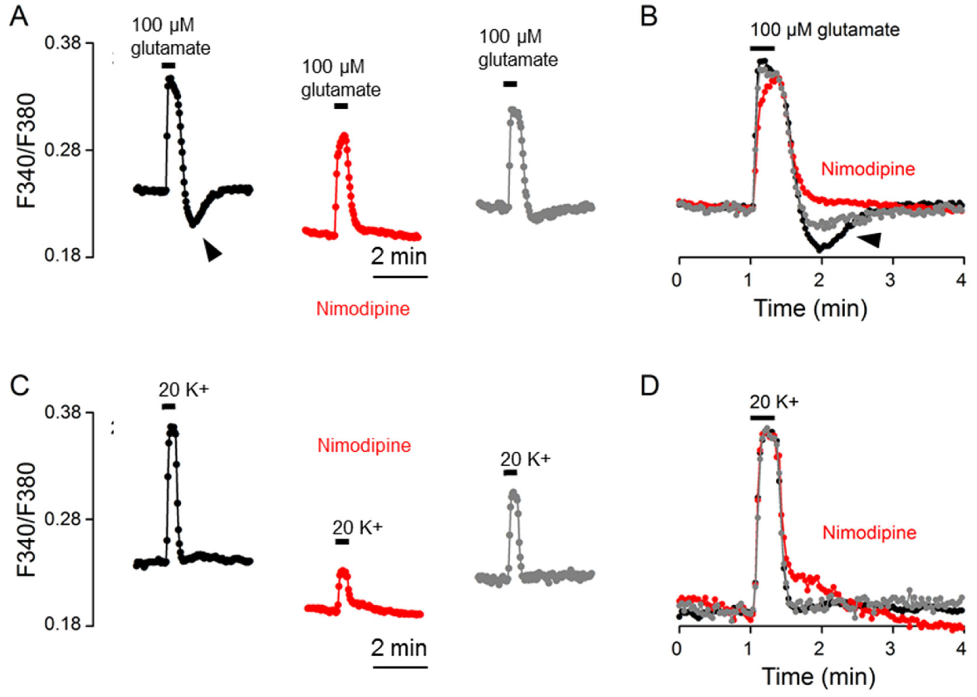 Ijms 24 06444 g007 Ijms 24 06444 g007