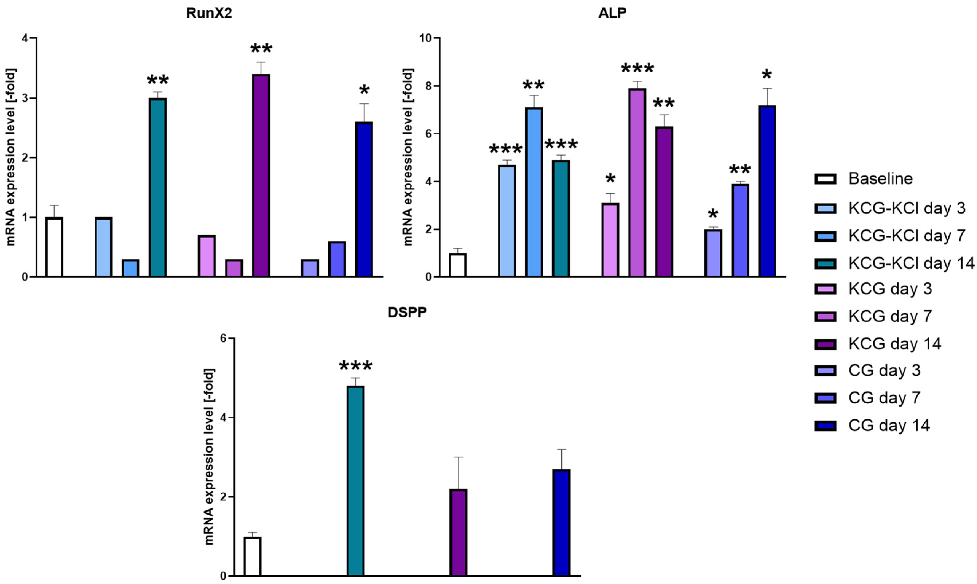 Ijms 24 06465 g006 Ijms 24 06465 g006