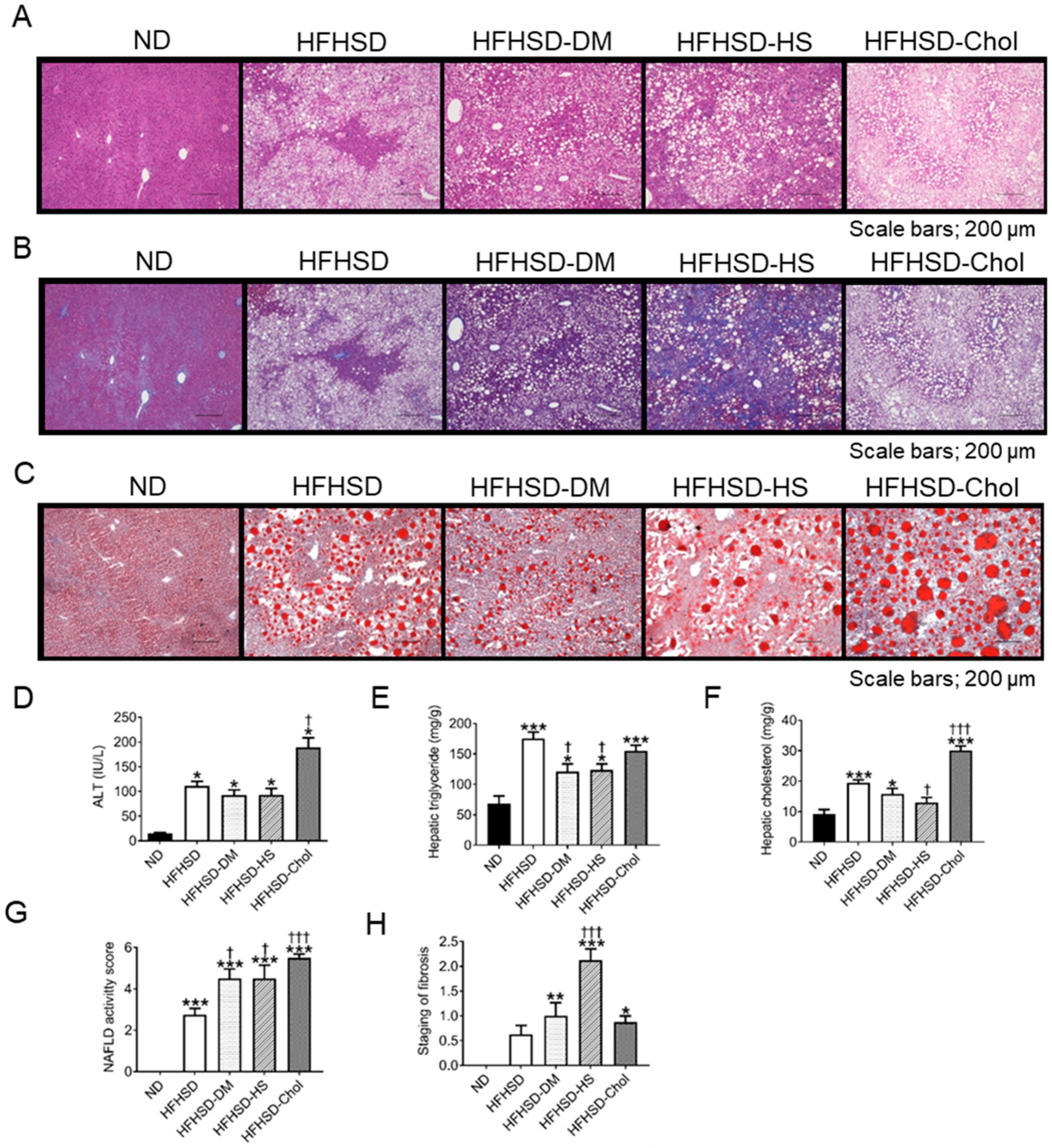 Ijms 24 06486 g002 Ijms 24 06486 g002